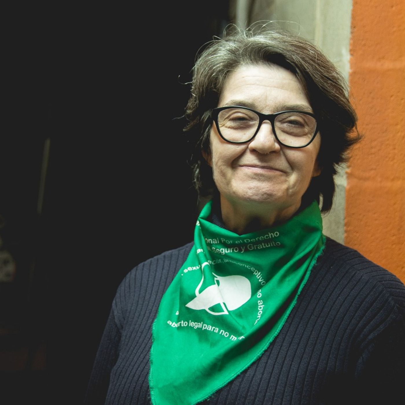 Entrevista - Elsa Schvartzmann: "Desde la campaña nacional por el derecho al aborto apostabamos al cambio cultural" #SeráLey episode artwork