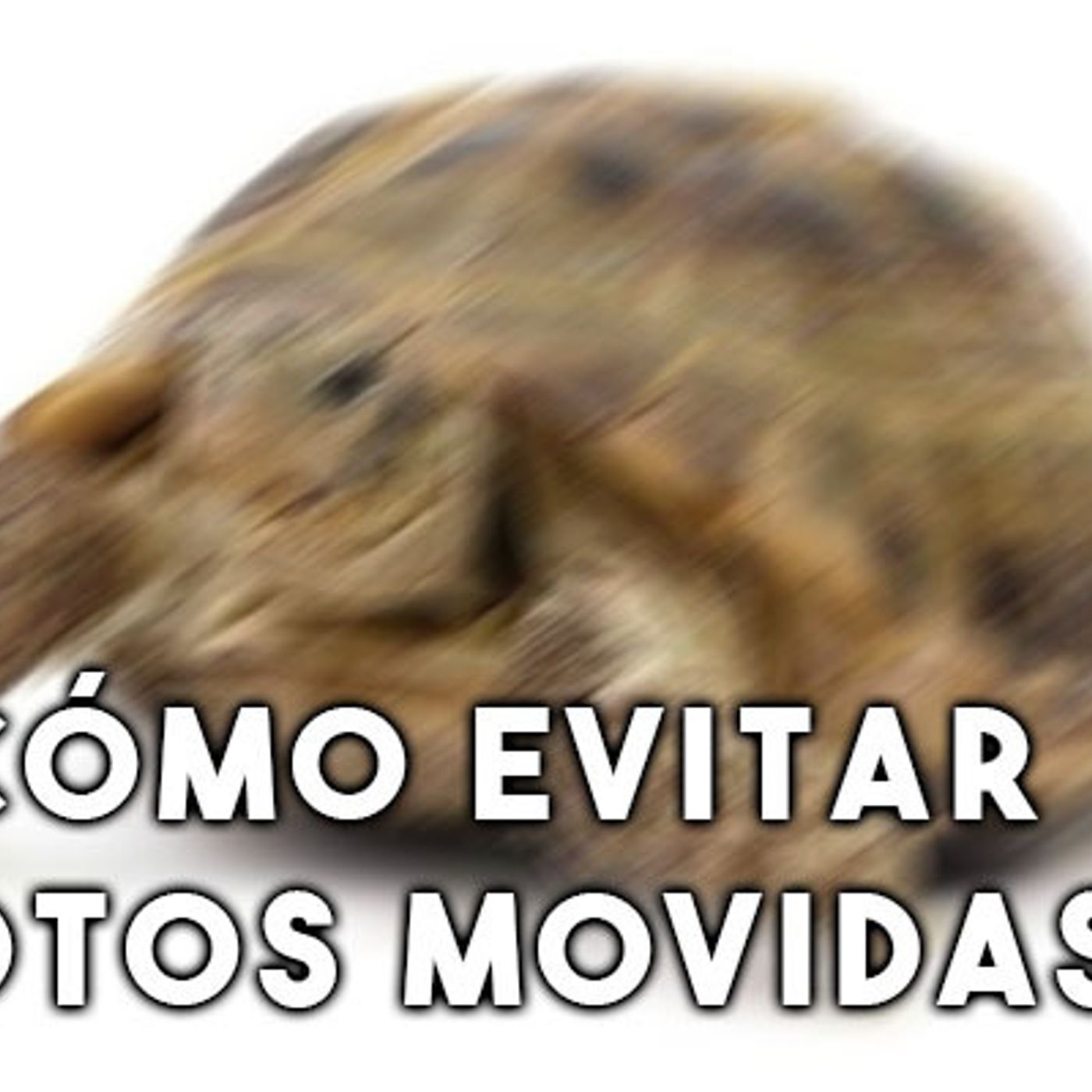 S1 Ep30: ¿Cómo evitar fotos movidas?