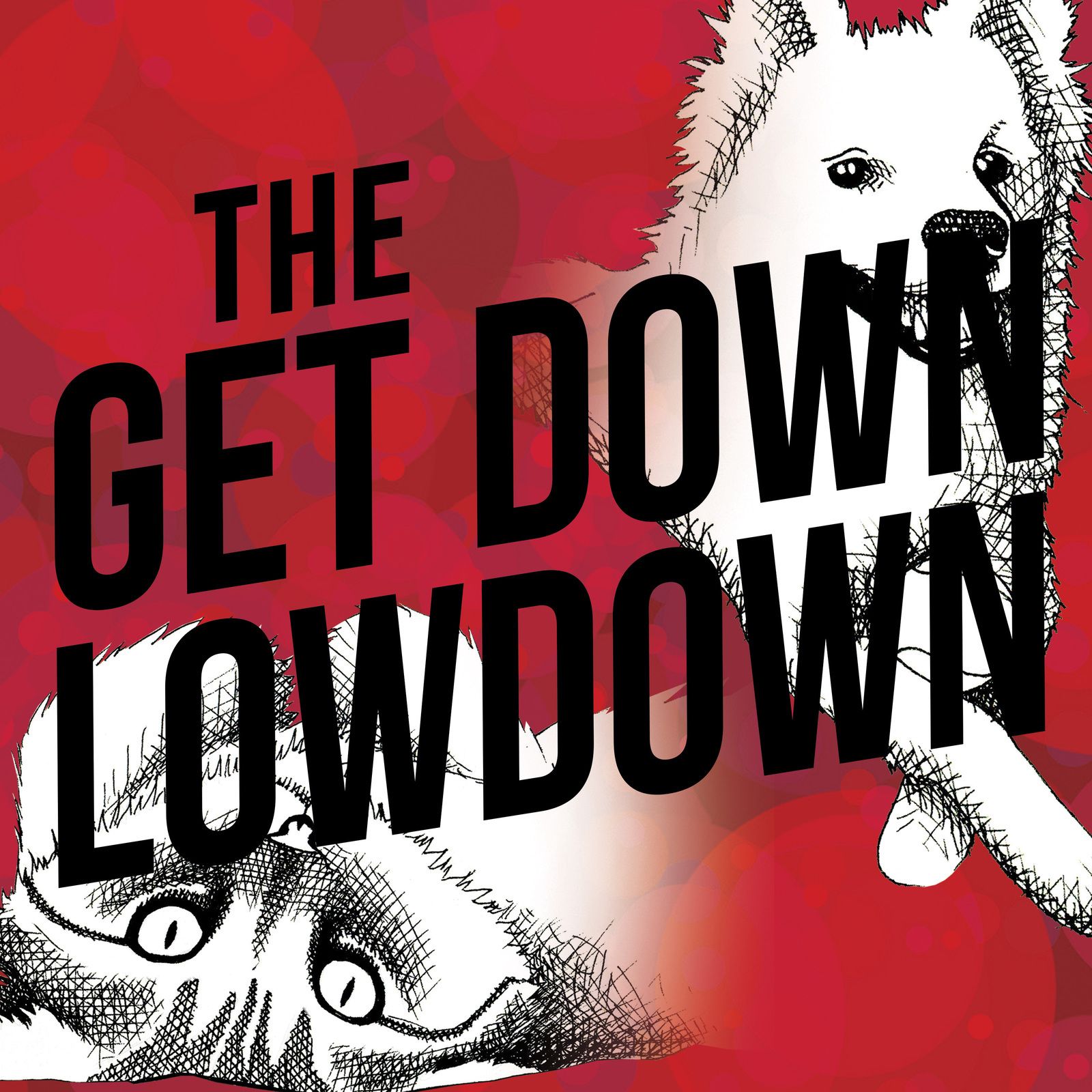 6: GDLD 6 - The low down on consent episode artwork