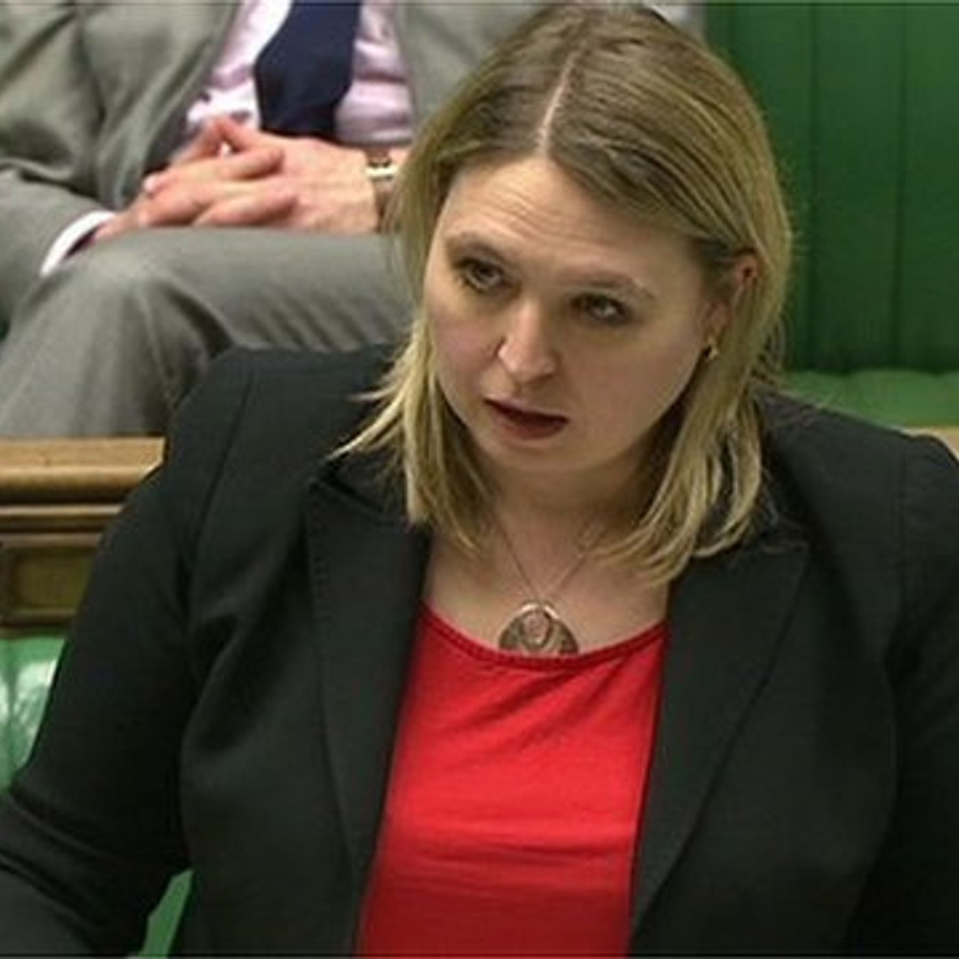 HoC 27/11/14 - Karen Bradley (HO) announces 'historic' dropped  from #CSA Public Inquiry title episode artwork