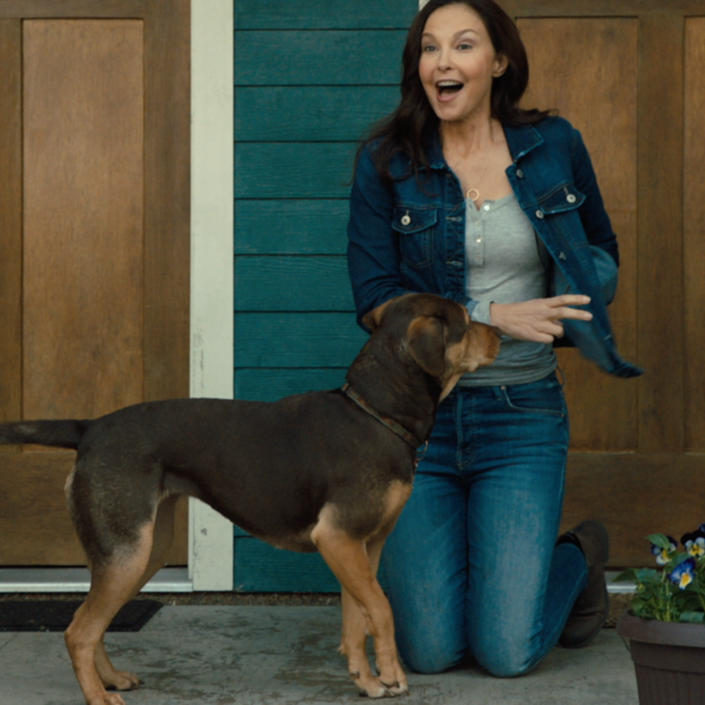 New Movie A Dog’s Way Home Stars Ashley Judd and Bryce Dallas Howard