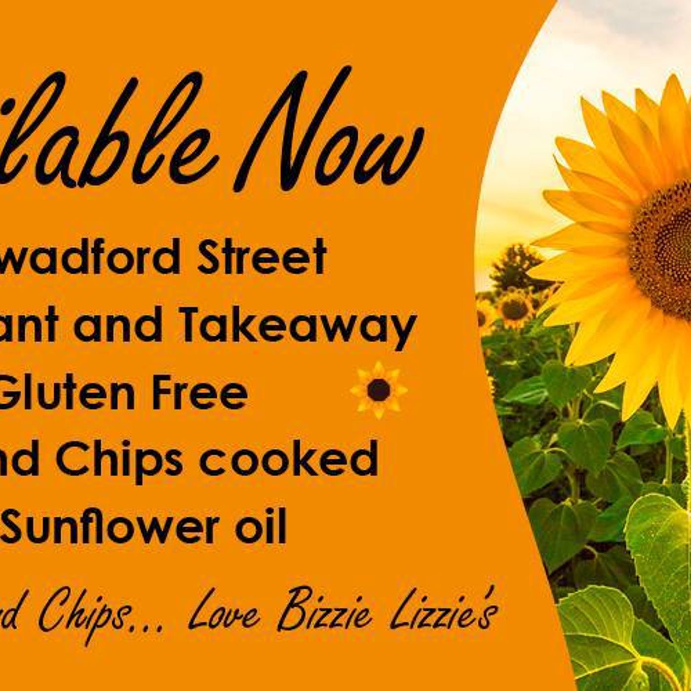 Now suitable for vegans: Bizzie Lizzie's launches sunflower oil frying