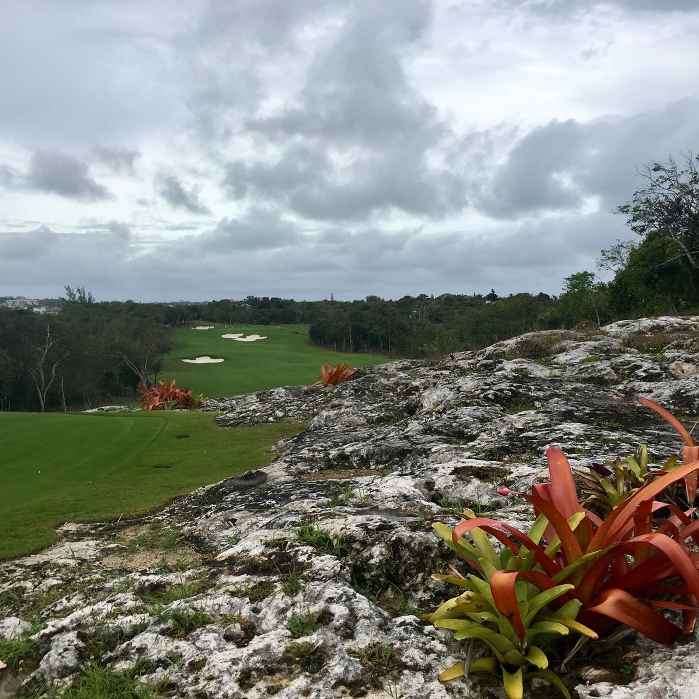 1: Feb 23, 2019 Royal Blue Golf Club, Baha Mar, Nassau Bahamas episode artwork