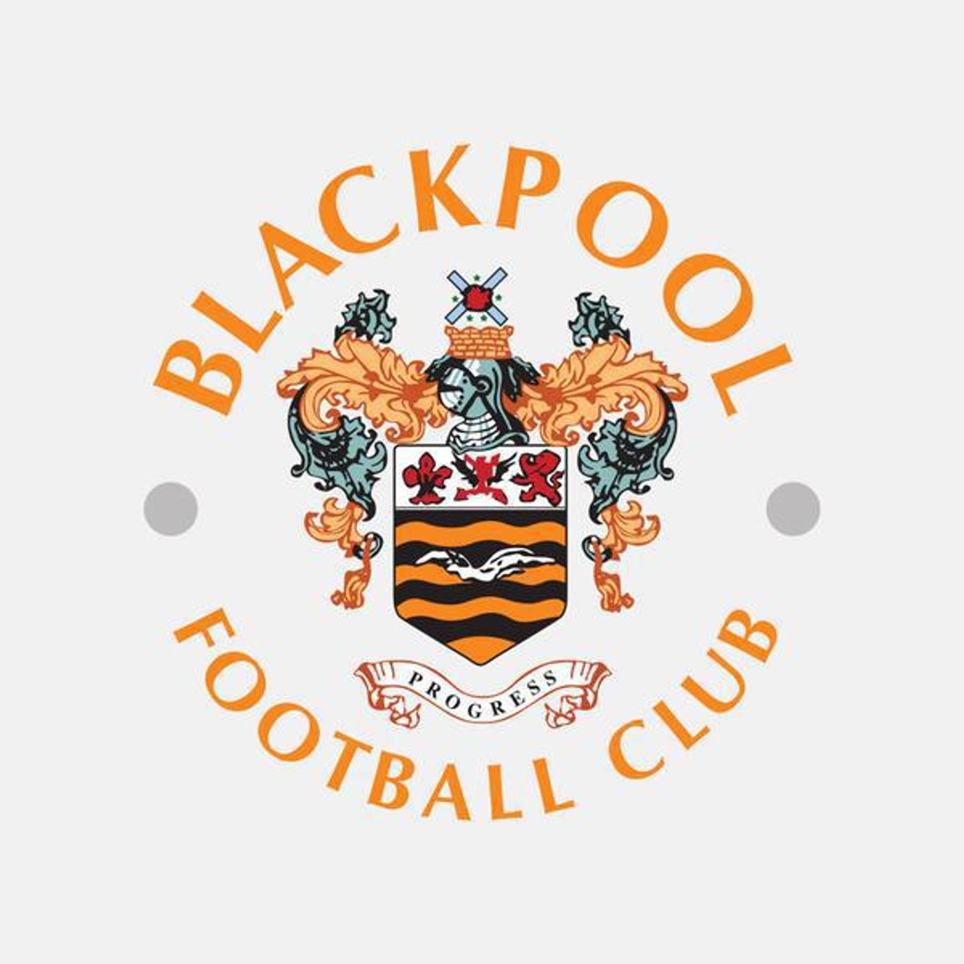The Albion Roar with Christine Seddon, chair of Blackpool Supporters' Trust episode artwork