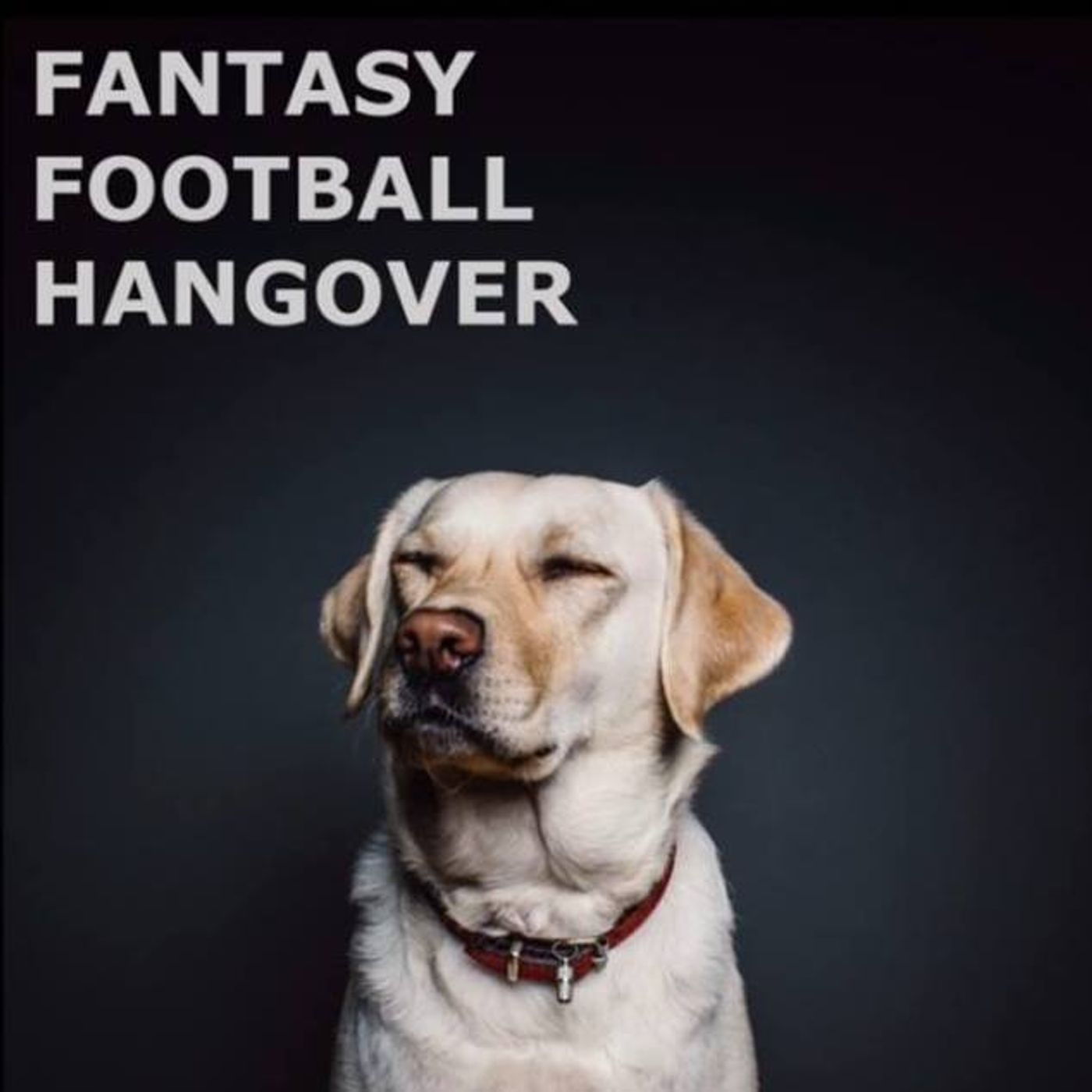 Best Bits - A lovely, bite-sized, introduction to The Fantasy Football Hangover episode artwork