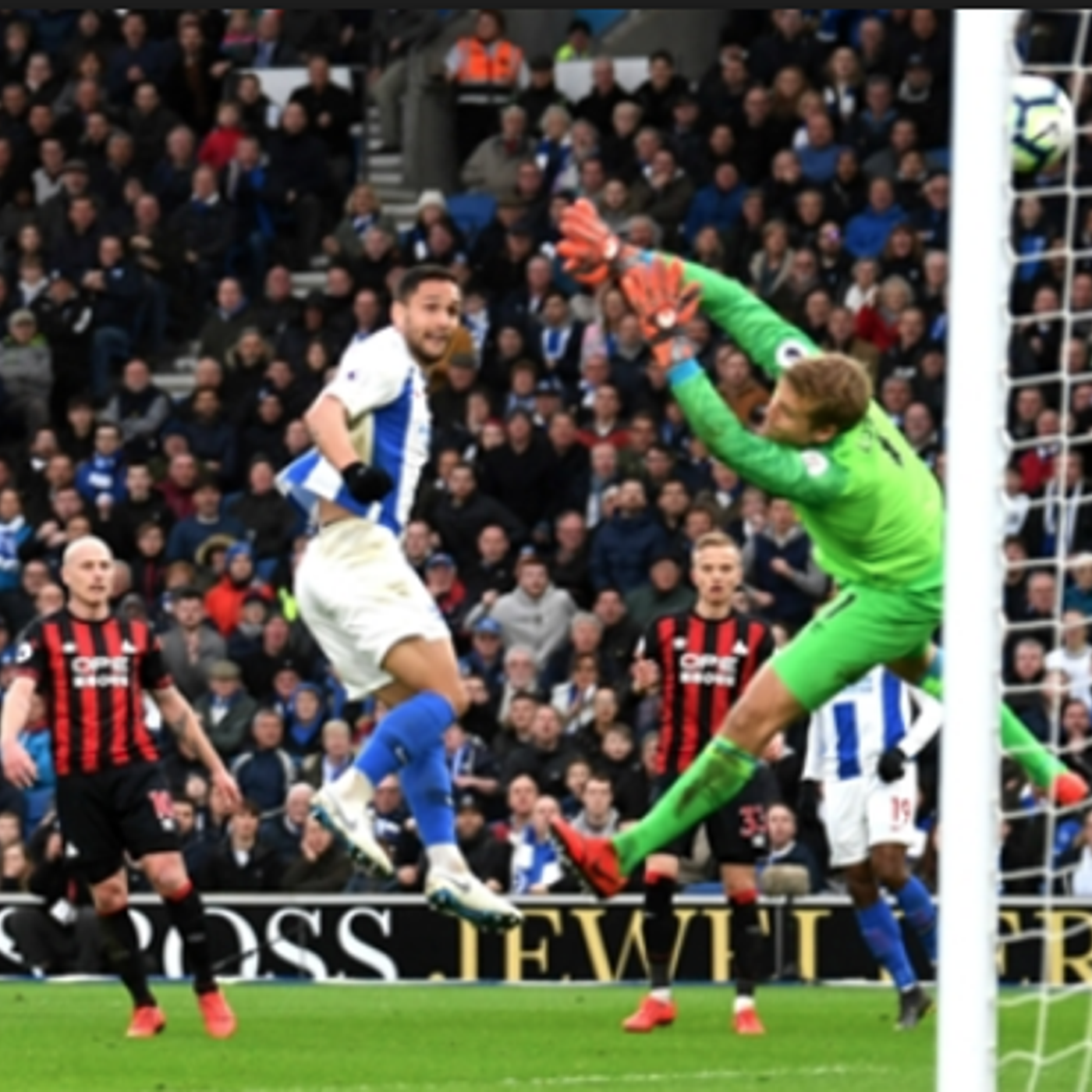 The Albion Roar 9 Mar 2019 - with guests Nick Szczepanik and Jim Daly episode artwork