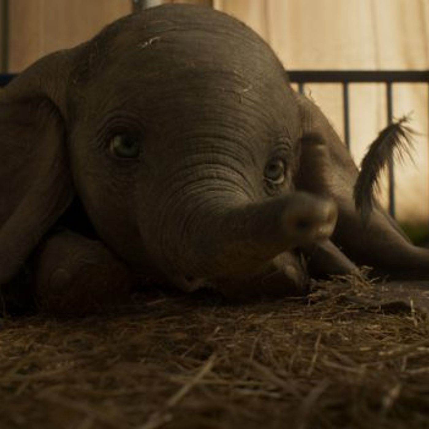 cover of episode Dumbo - Film of the Week with Everyman Cinema