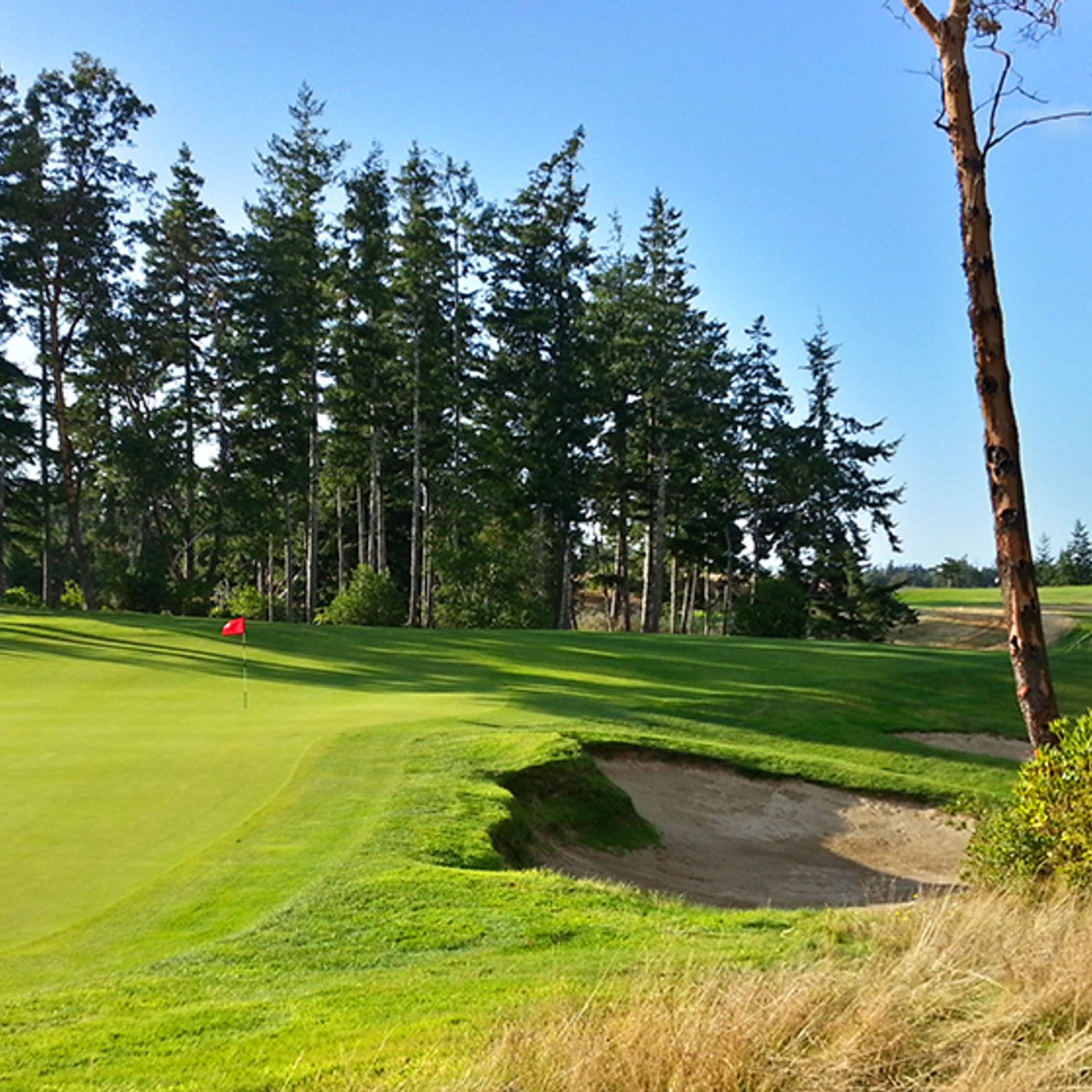 Ep. 141: Part 1 with Designer Dan Hixson, discussing Oregon golf past and present