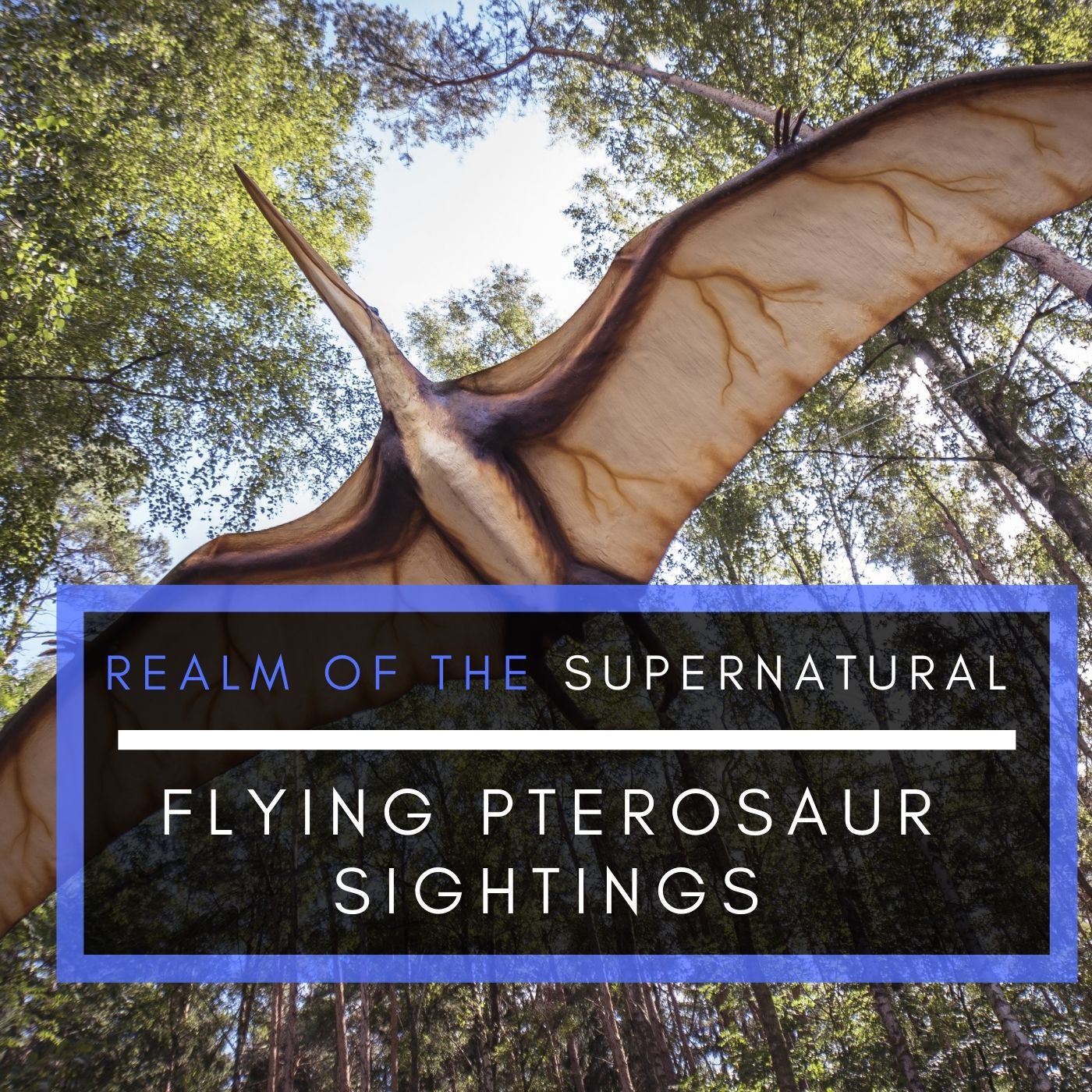 Ep 140 Flying Pterosaur Sightings
