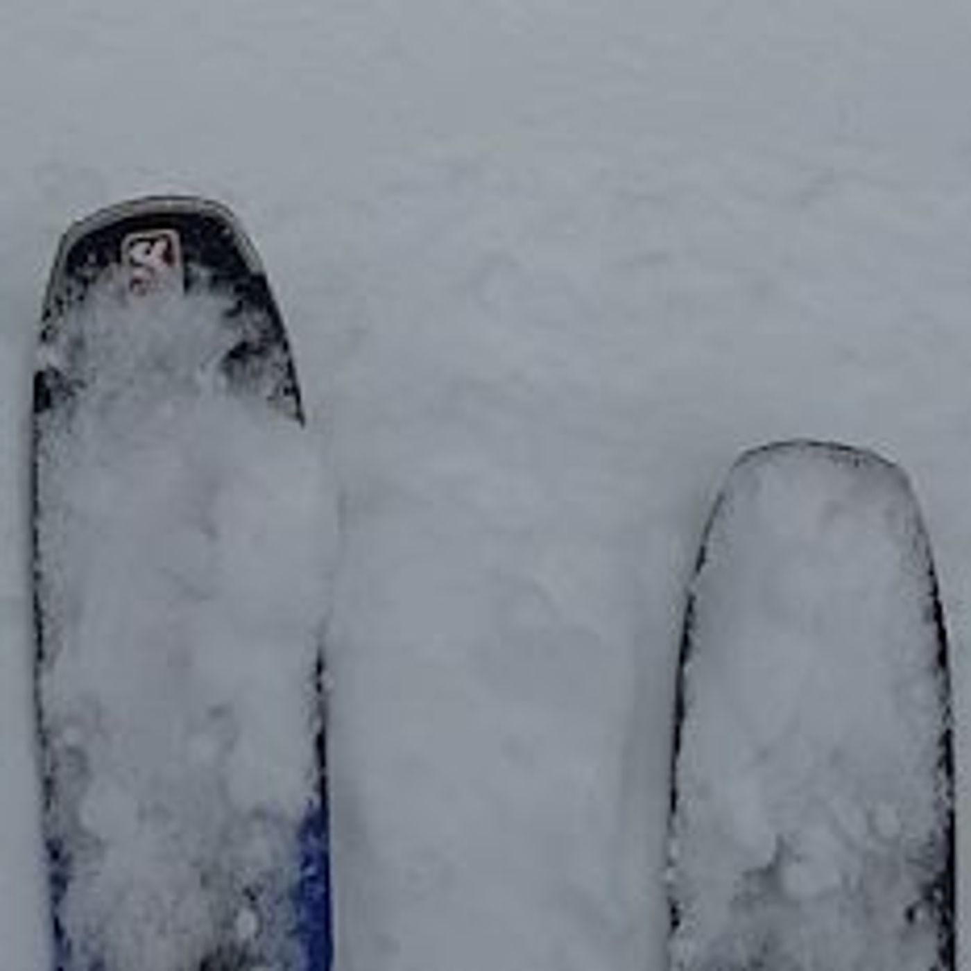 14: Skiing April Fools, Snow Centres and LISTEX