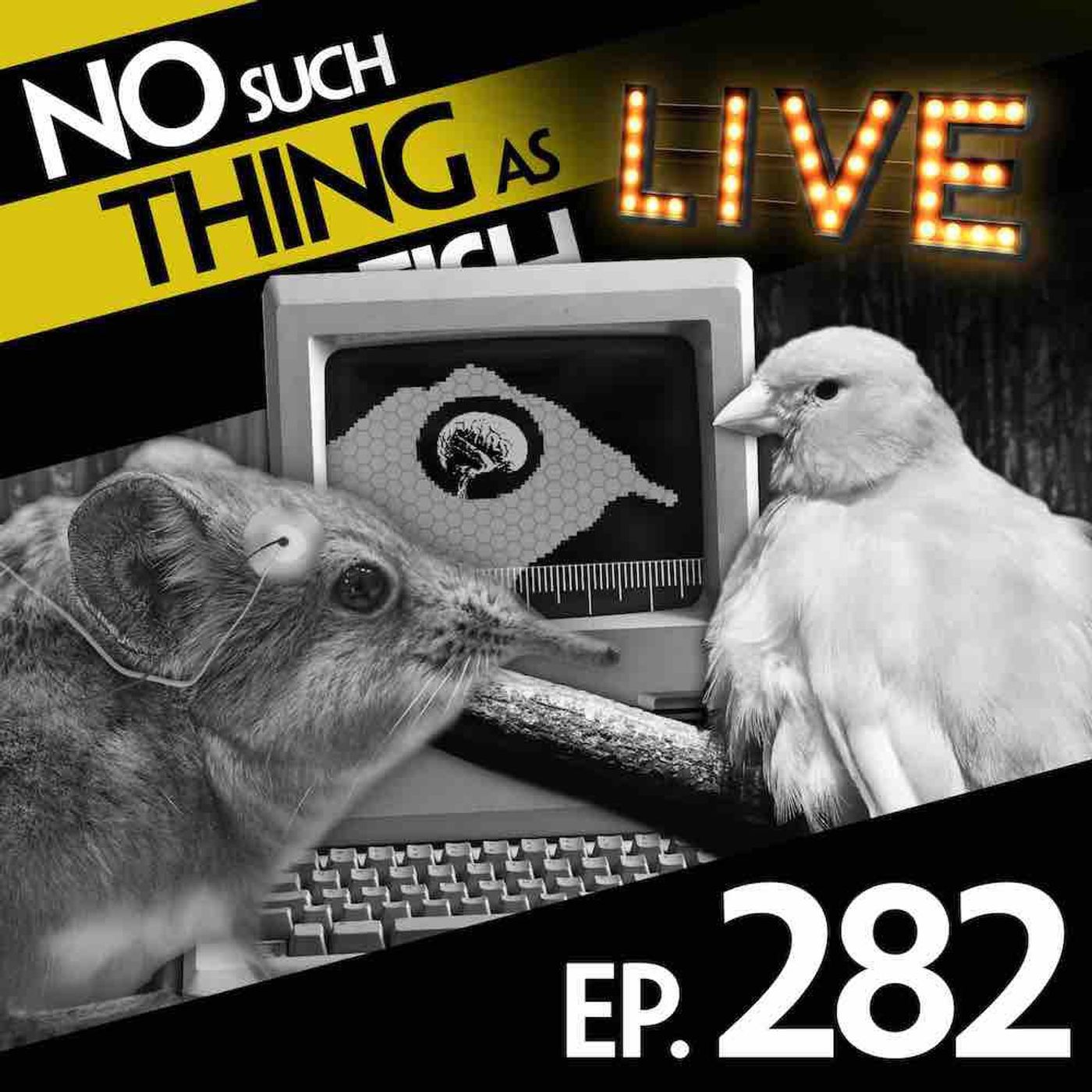 282: No Such Thing As A Bored Shrew