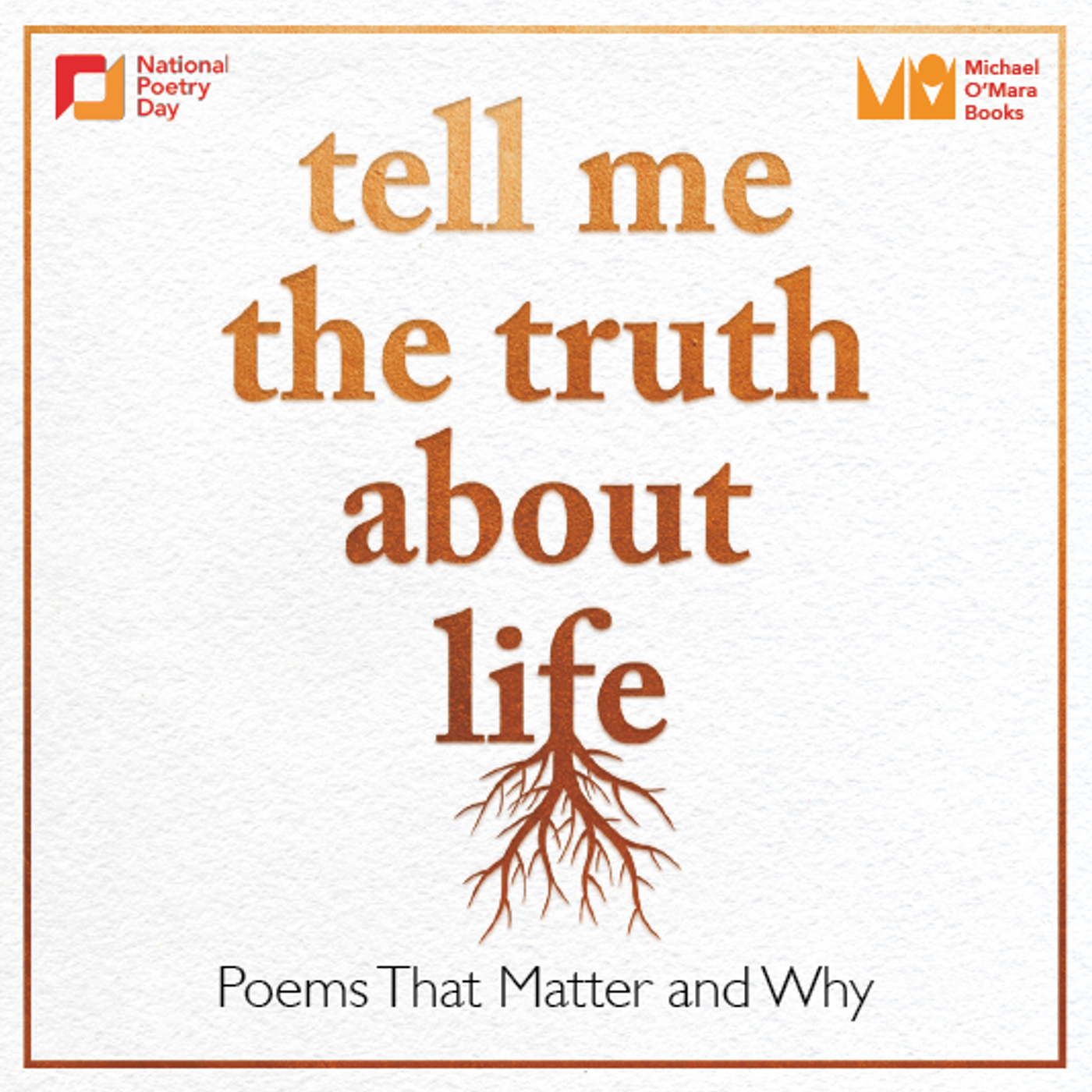S1 Ep3: Tell Me The Truth About Life: Henry Normal