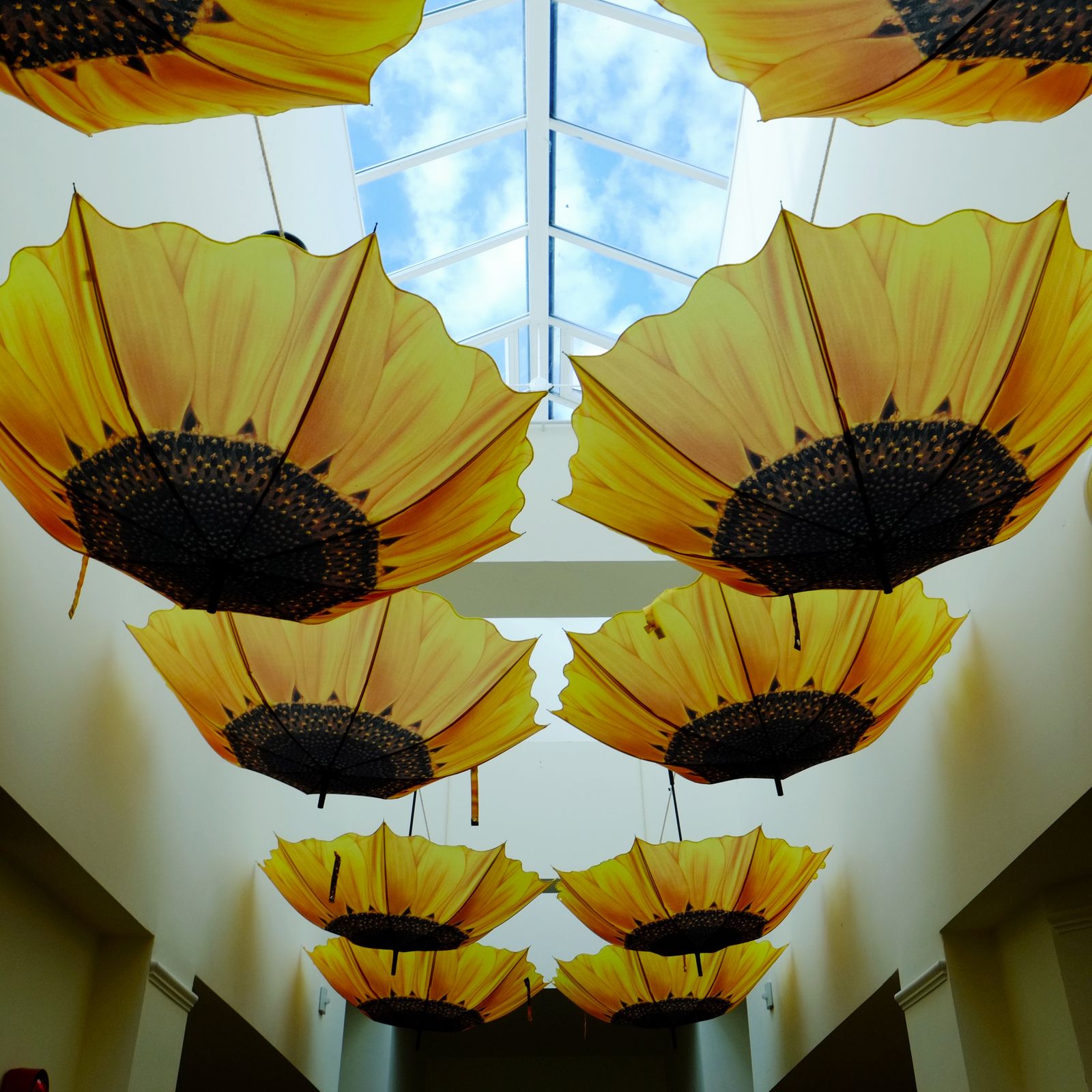 The Isle of Wight Show with Joe Redston