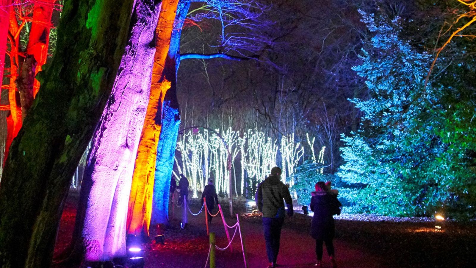 The Big Interviews with Graham Walker / INTERVIEW Christmas At Belton