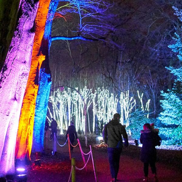 The Big Interviews with Graham Walker / INTERVIEW Christmas At Belton 2019 lights trail details