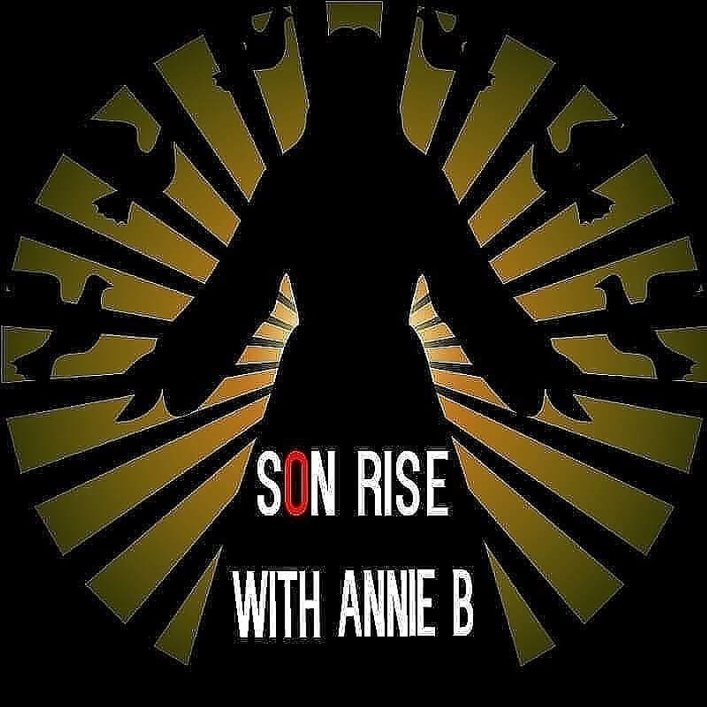SonRise: Citizens Care episode artwork