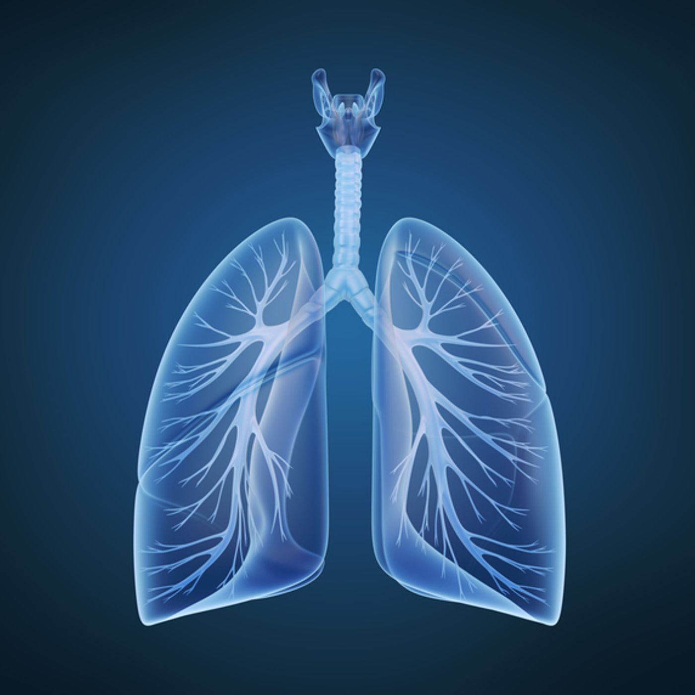 EKU2019.2: Chronic obstructive pulmonary disease