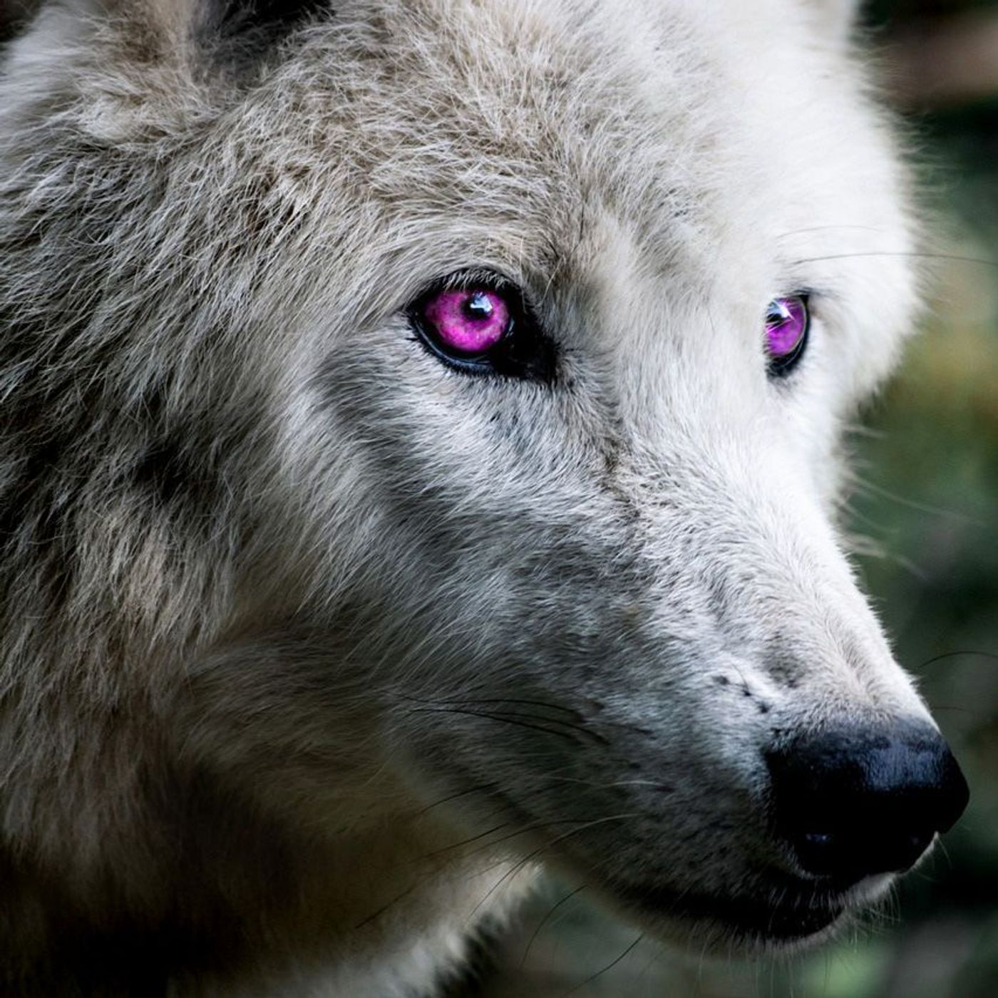 Stories Fables Ghostly Tales Podcast