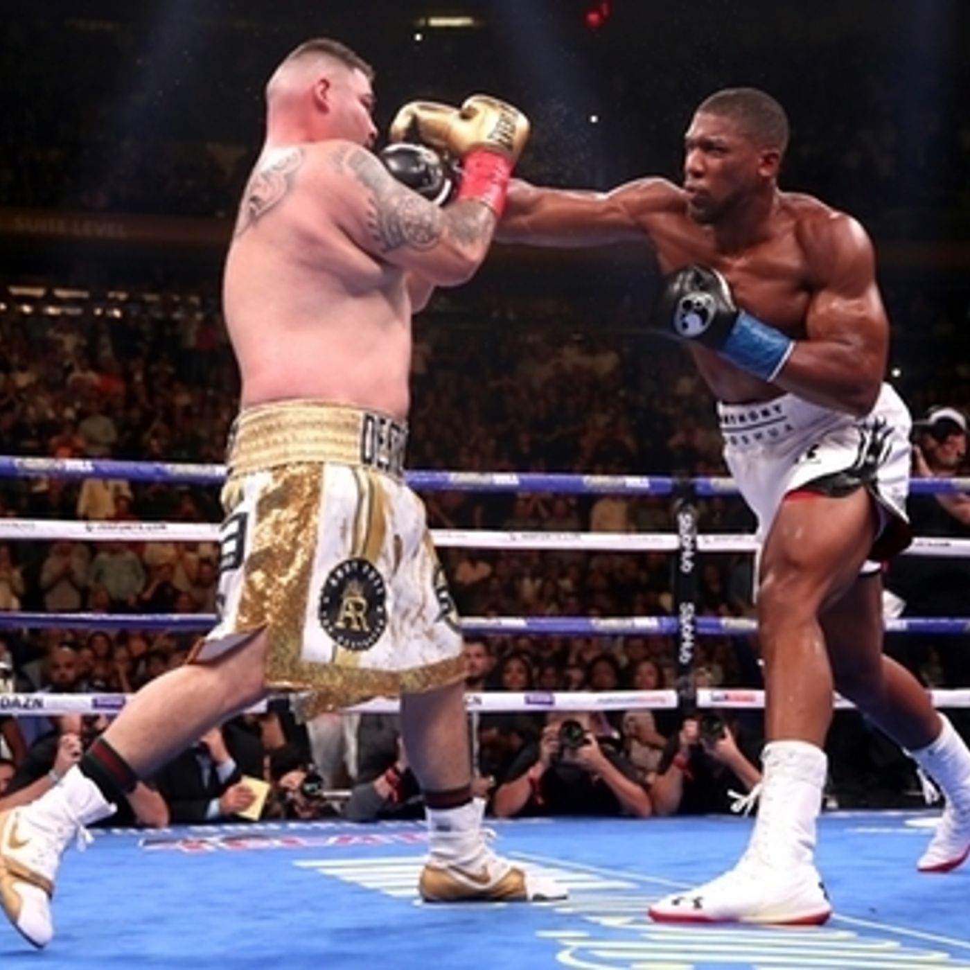 William Hill Boxing