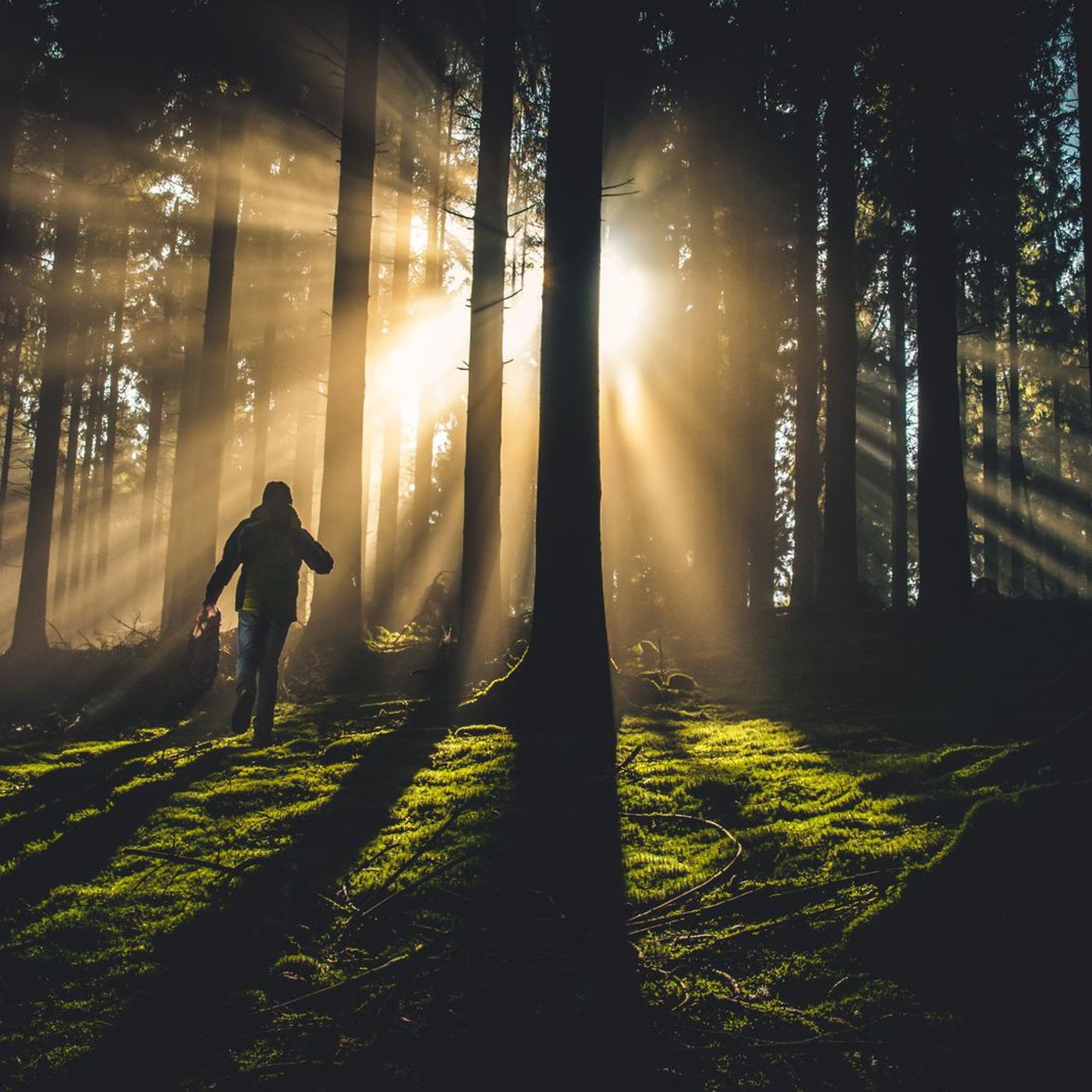 Turning Towards Life - a Thirdspace podcast