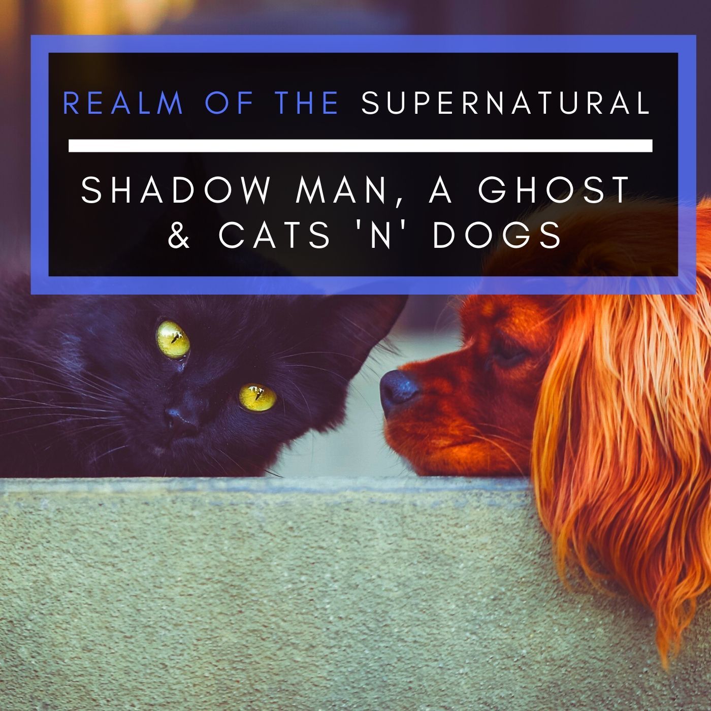 Ep 168 Shadow man, A Ghost & Cats 'n' Dogs