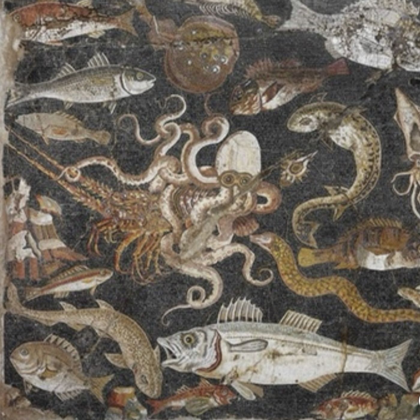 S1 Ep11: The Kraken, Part 3