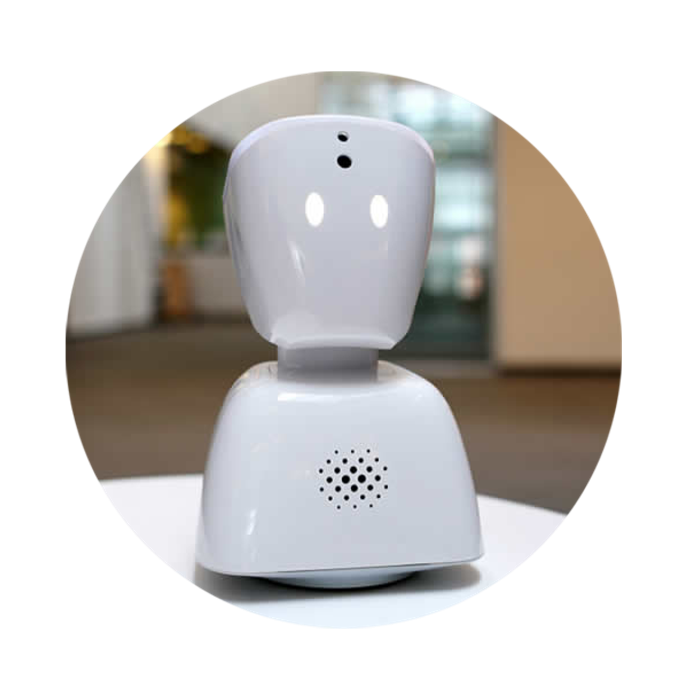 How can a robot help your mental health?