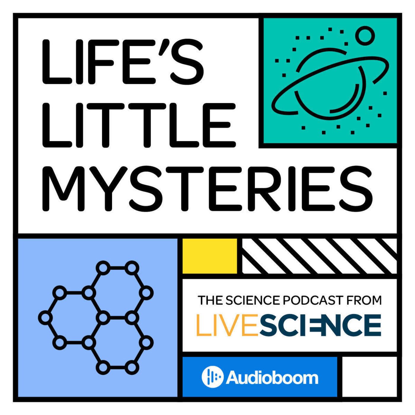 64: Introducing Life's Little Mysteries
