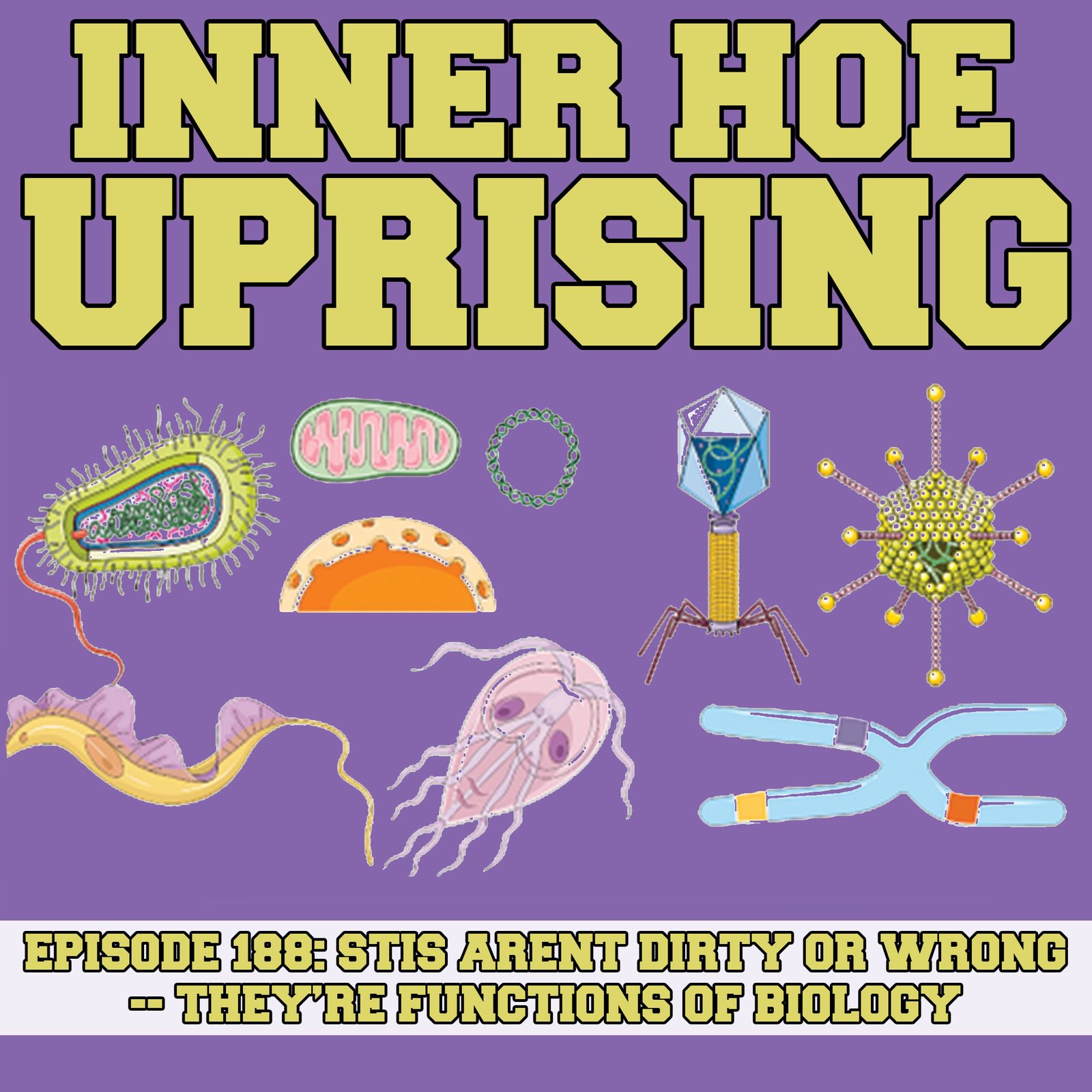 Thumbnail for "S6 Ep9: STIs Aren’t Dirty or Wrong — They’re Functions of Biology".