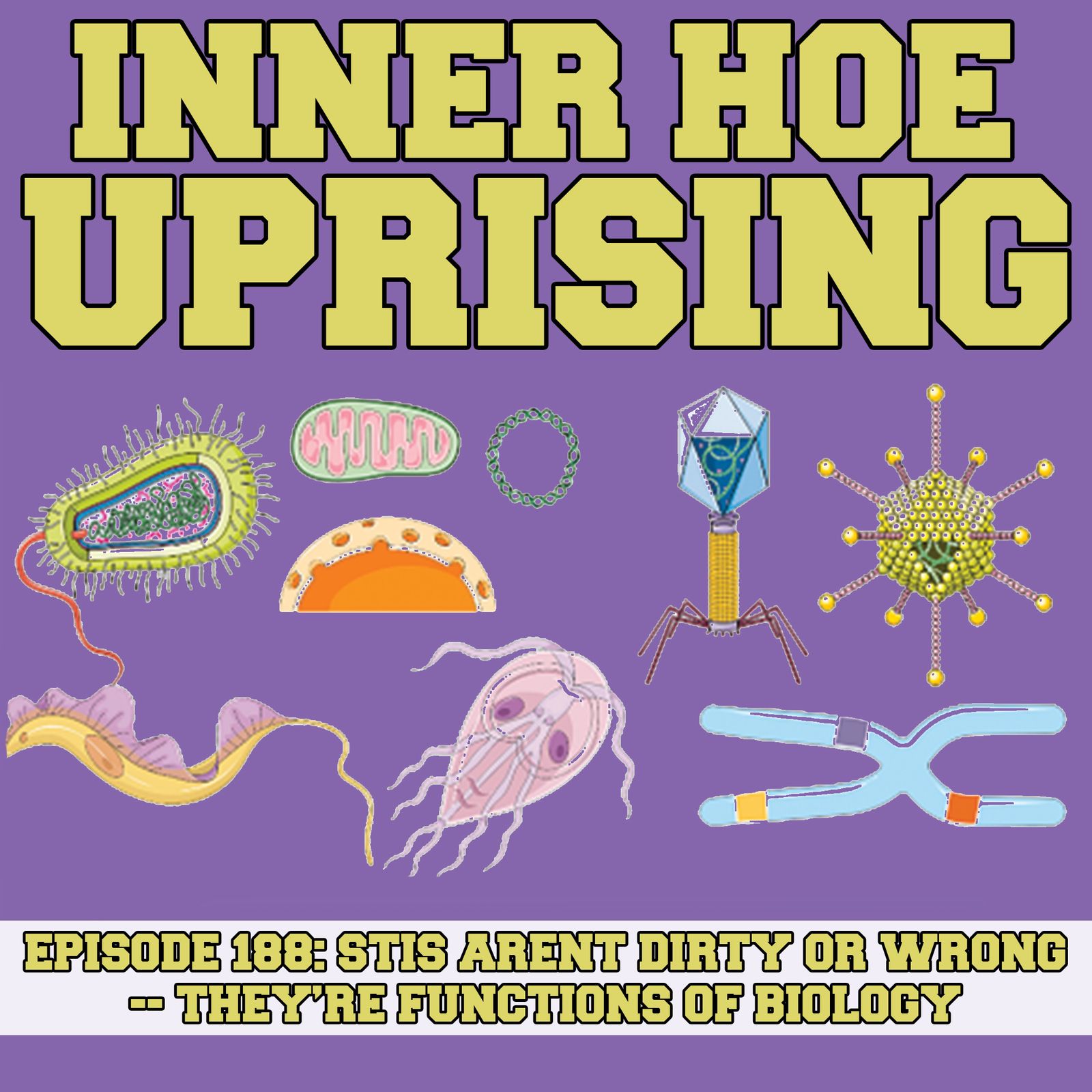 Thumbnail for "S6 Ep9: STIs Aren’t Dirty or Wrong — They’re Functions of Biology".