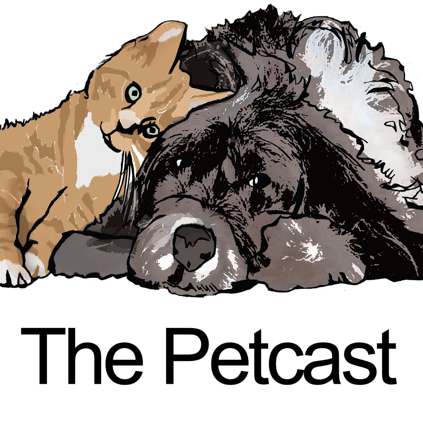 1: The Petcast .. Coming Soom