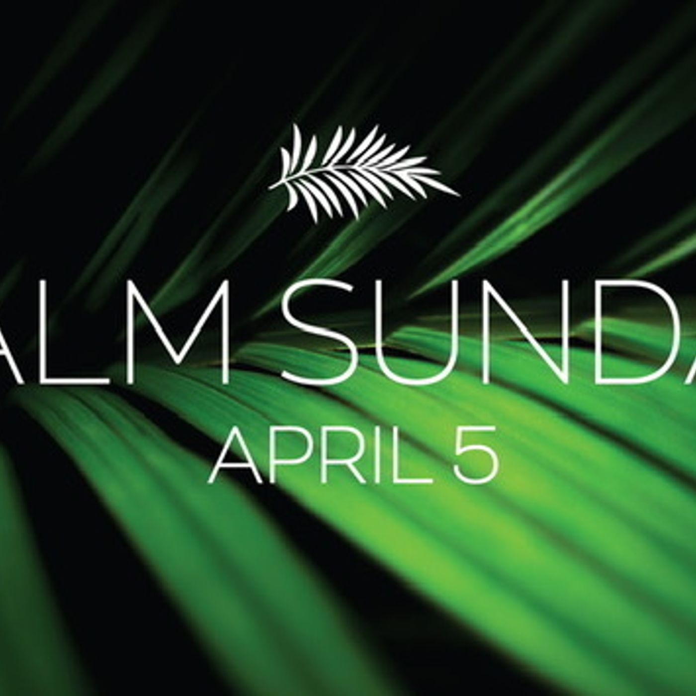 4/5/20 - Kyle Estepp - John 12 (Palm Sunday)