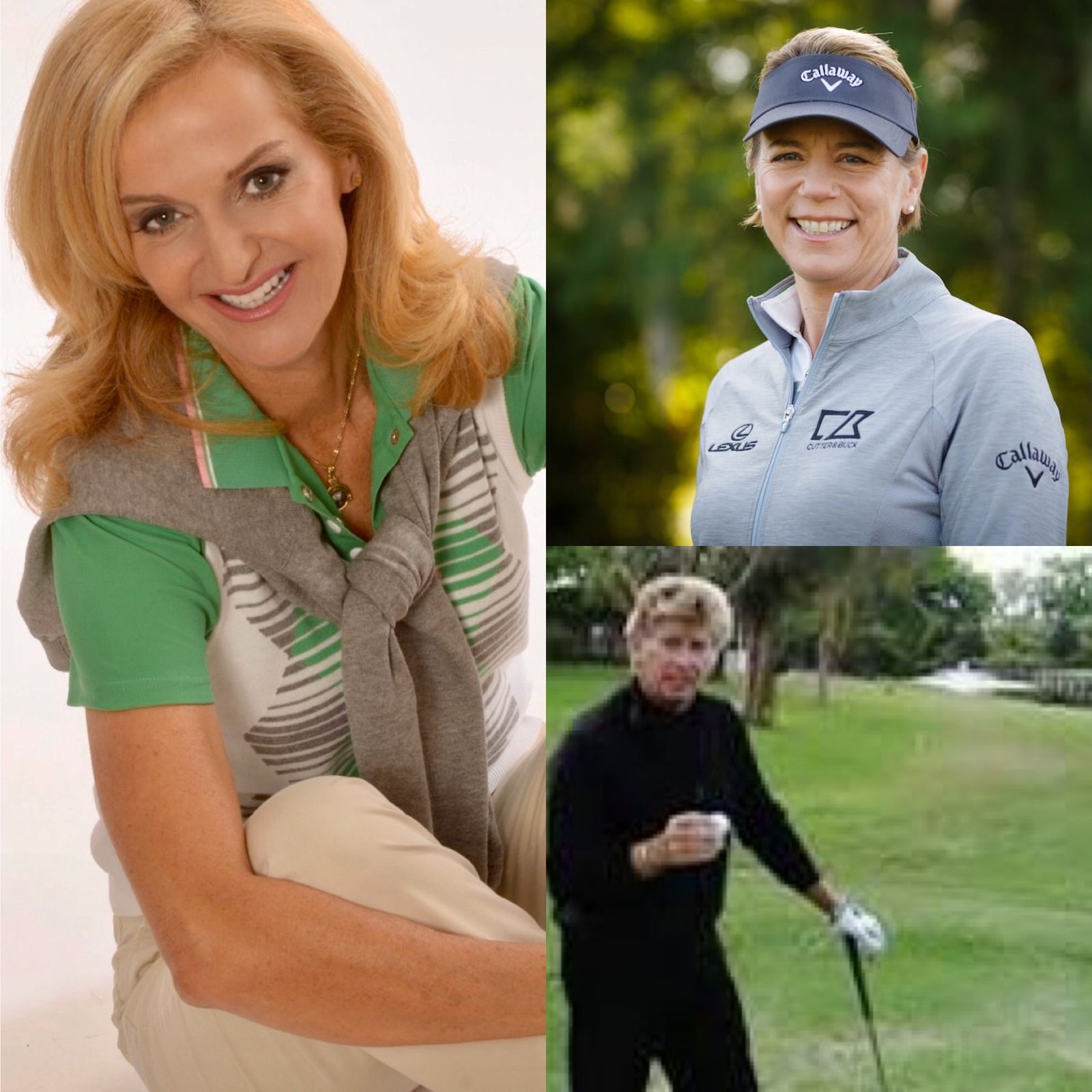 41: Sports Innerview 05/02/2020 - Annika Sorenstam, Dr. Bob Winters episode artwork