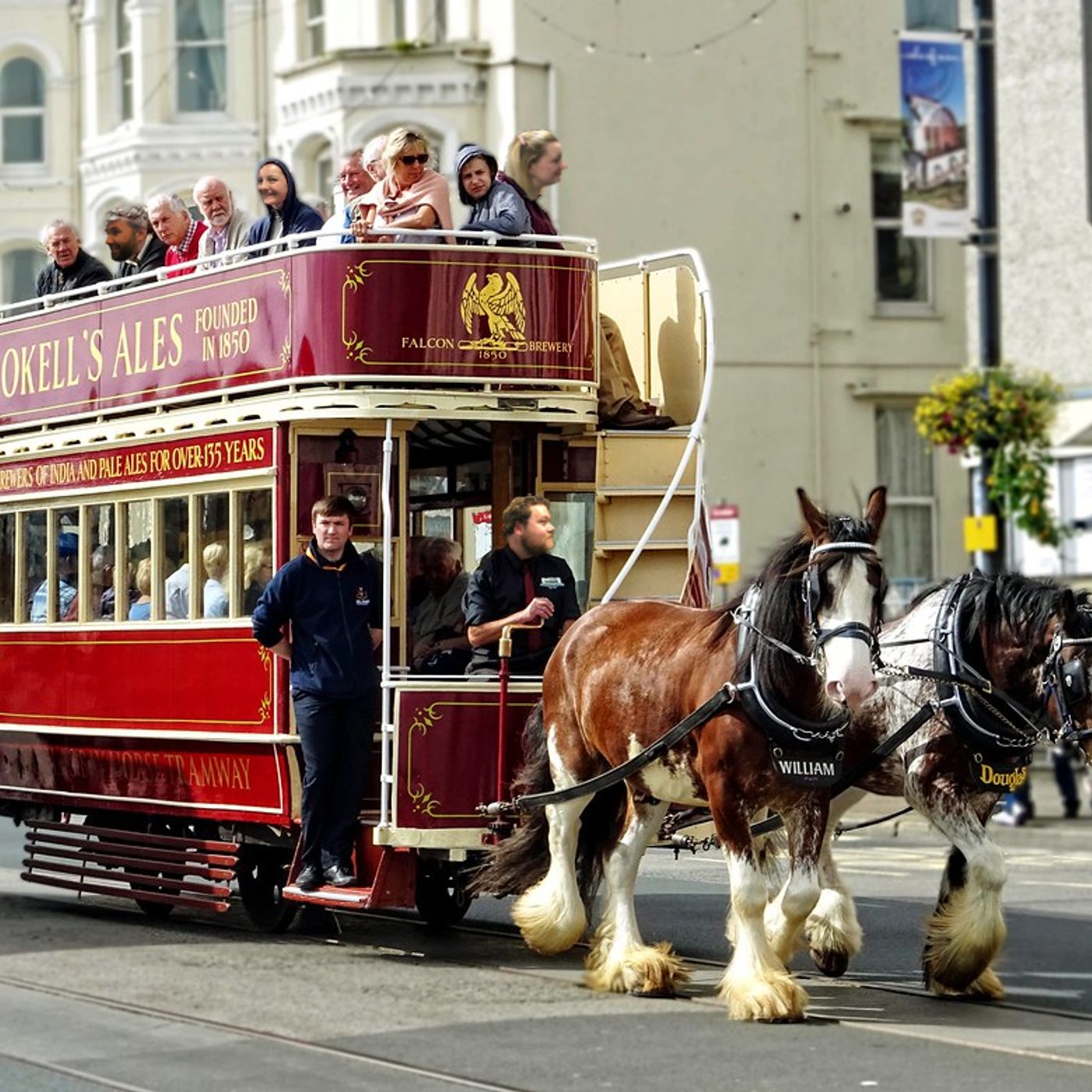 67: We're trammin', trammin', and I hope you like trammin' too