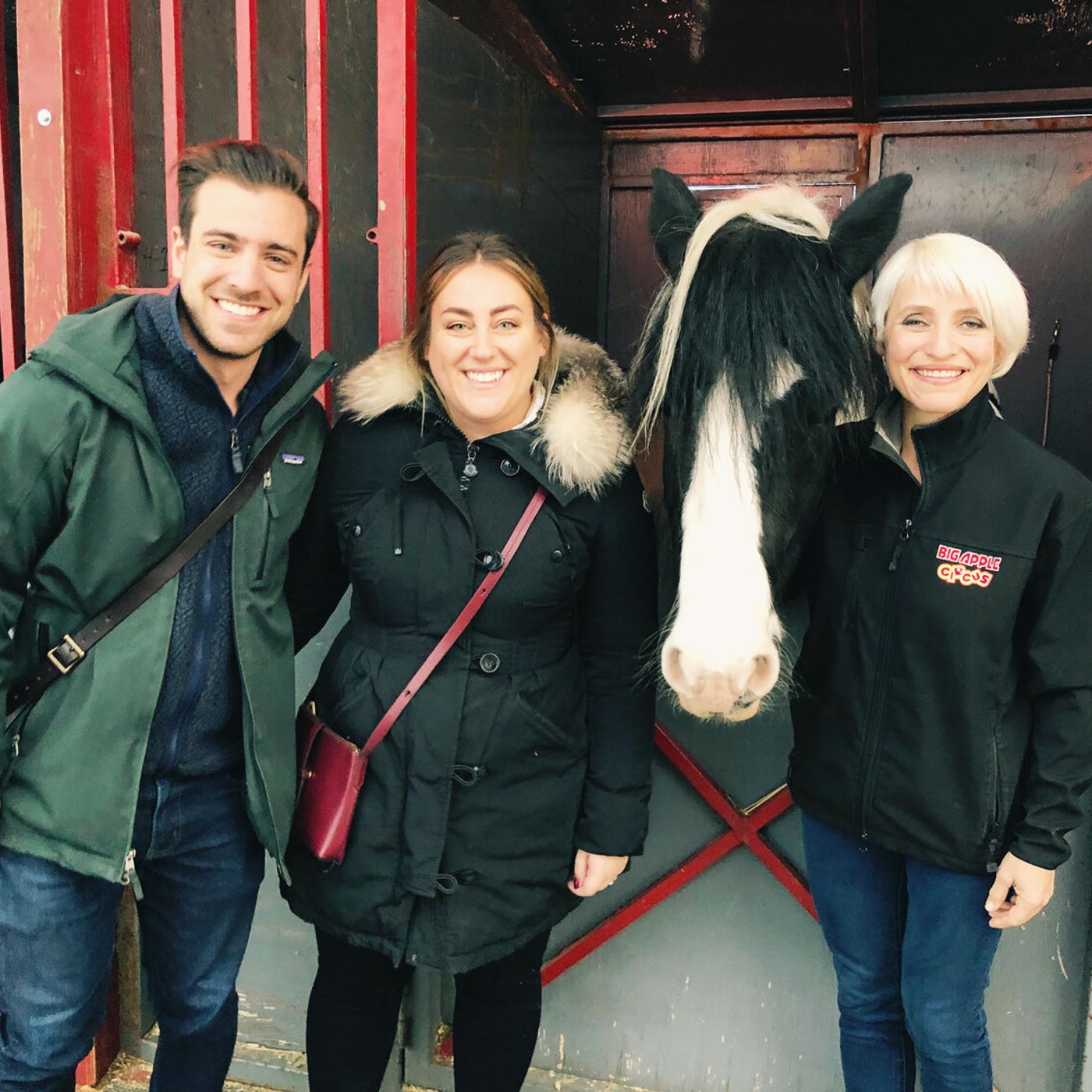 82: Episode 82 - Jenny Vidbel, third generation animal trainer episode artwork