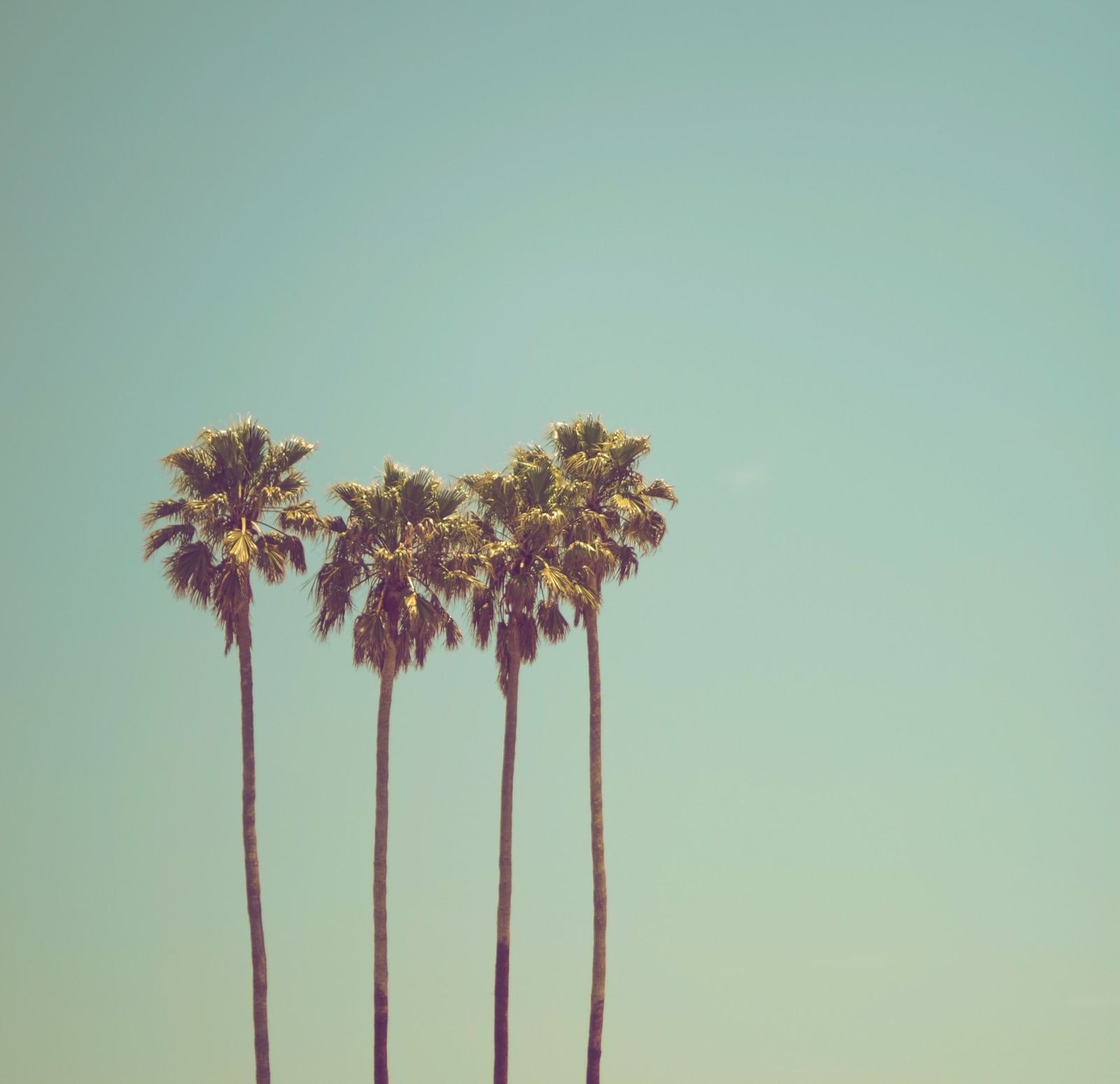 Tune Into You Meditation Podcast