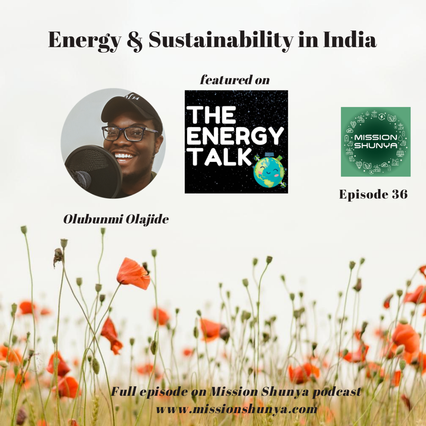36: The Energy Talk - Energy & Sustainability in India
