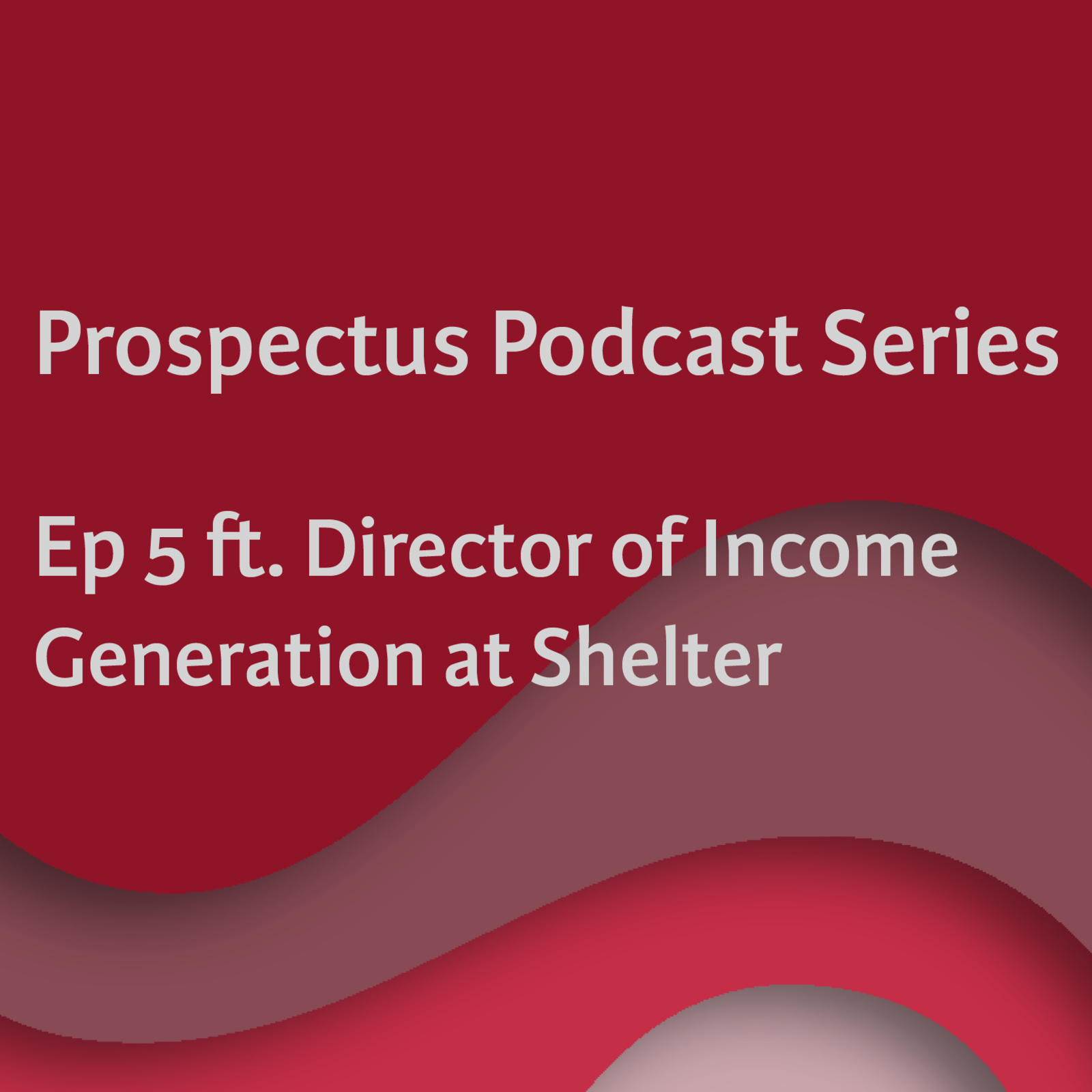 6: Prospectus Podcast - Ep. 5 with the Director of Income Generation at Shelter episode artwork