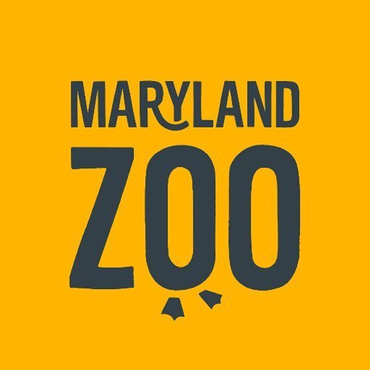 5: Maryland Is Open: Maryland Zoo