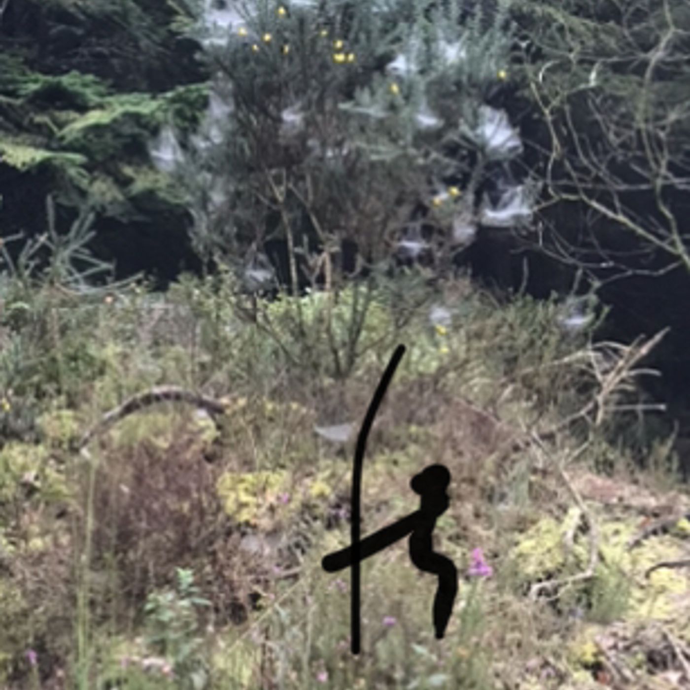 S82020 Ep5: Cobwebs Multiplying in Moanbaun Woods - trapped in a web.