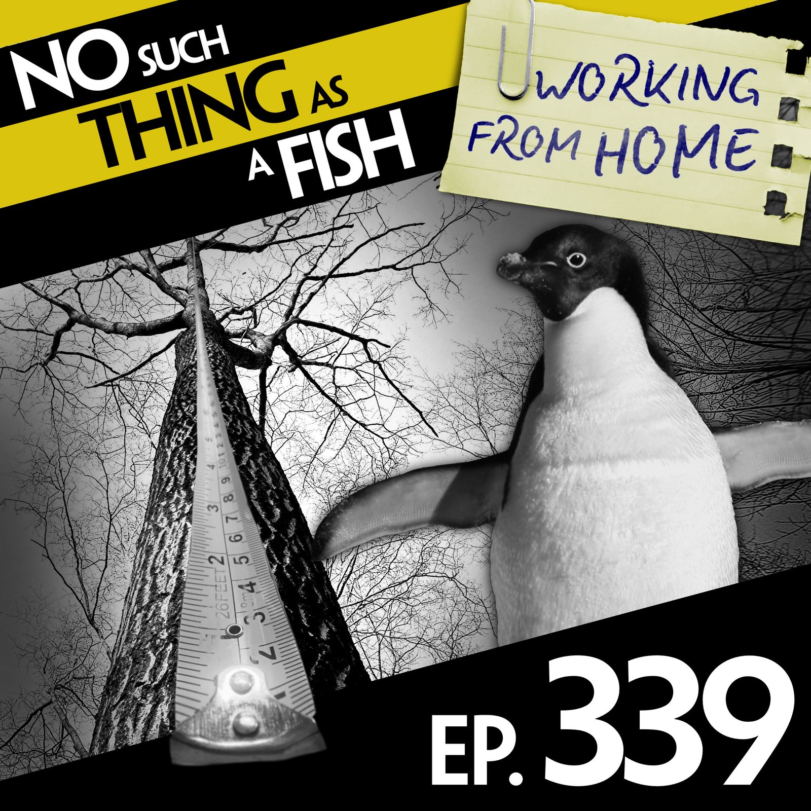 339: No Such Thing As A Penguin in a Nightclub