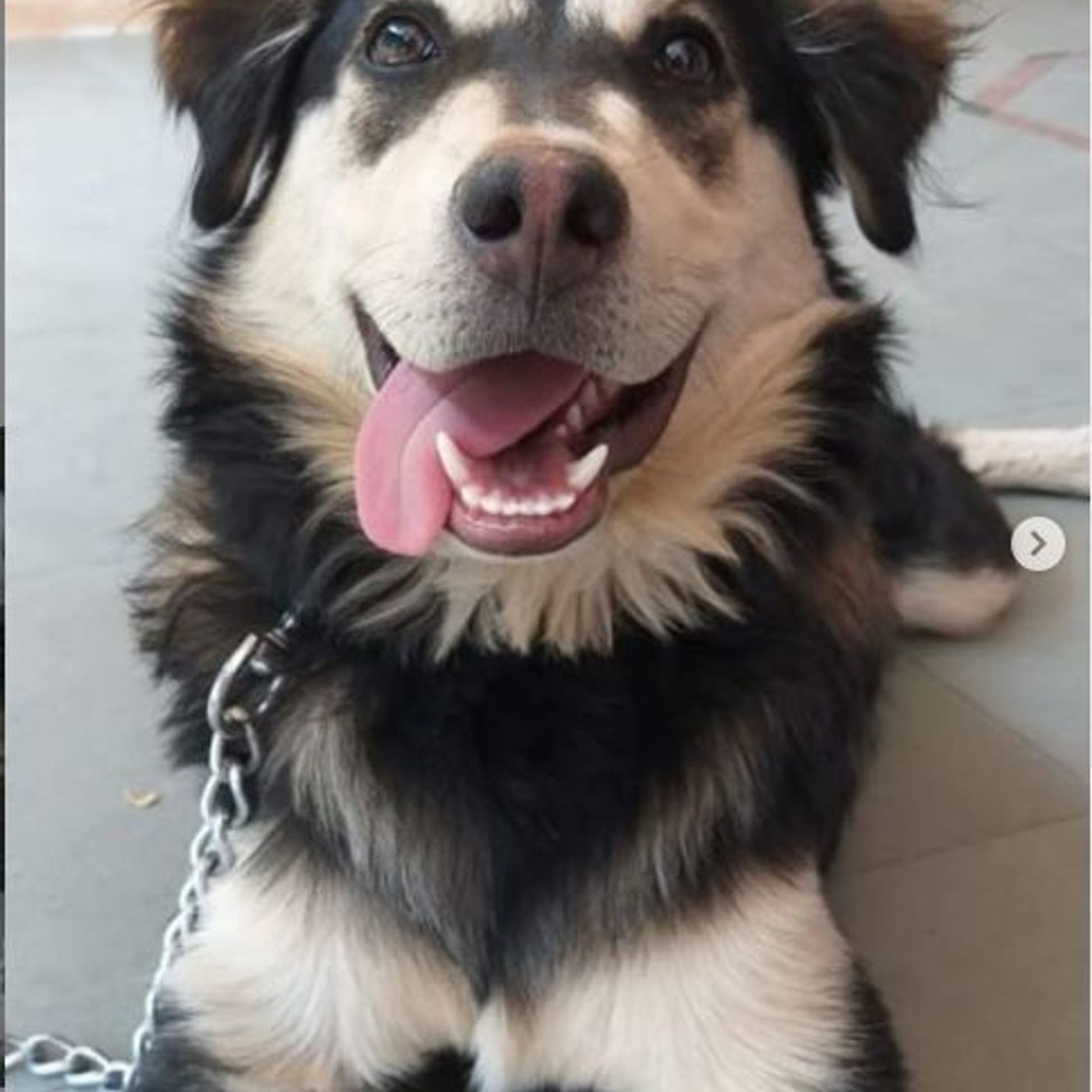 MH935 With RJ Mehak (Nanded)