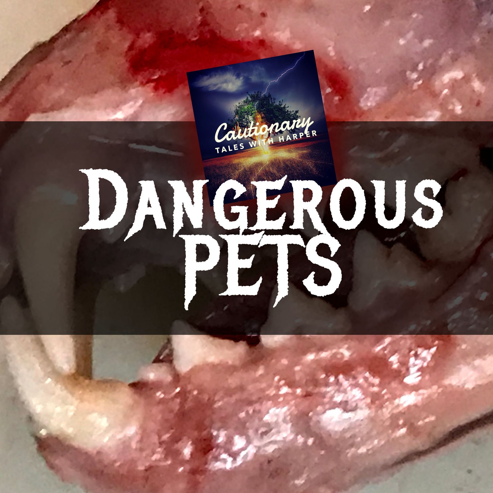 1: Dangerous Pet Stories!