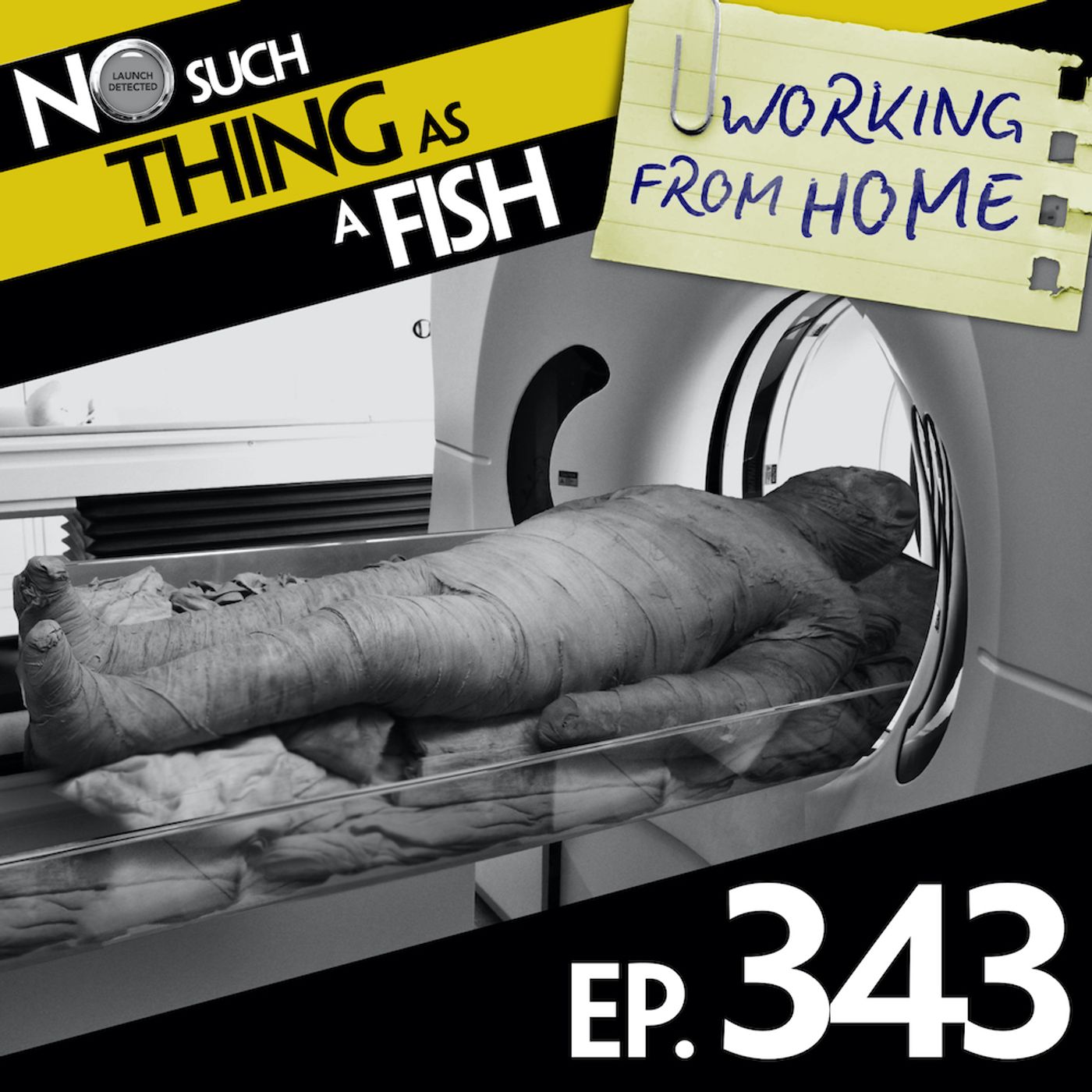 343: No Such Thing As A Dolphin In An Escape Room