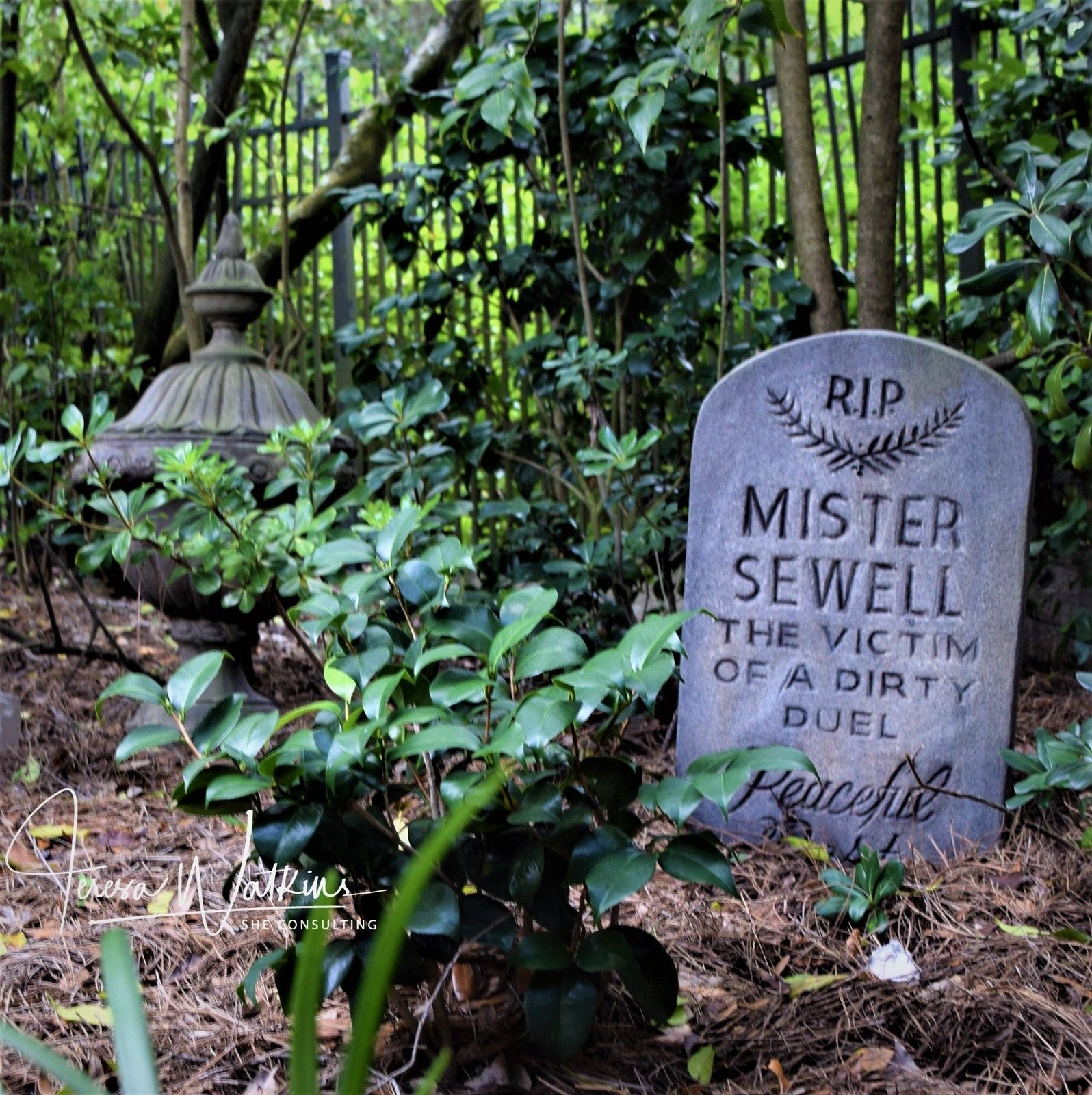 S2 Ep47: Better Lawns and Gardens - Hour 2 October 17, 2020 Halloween Gardens