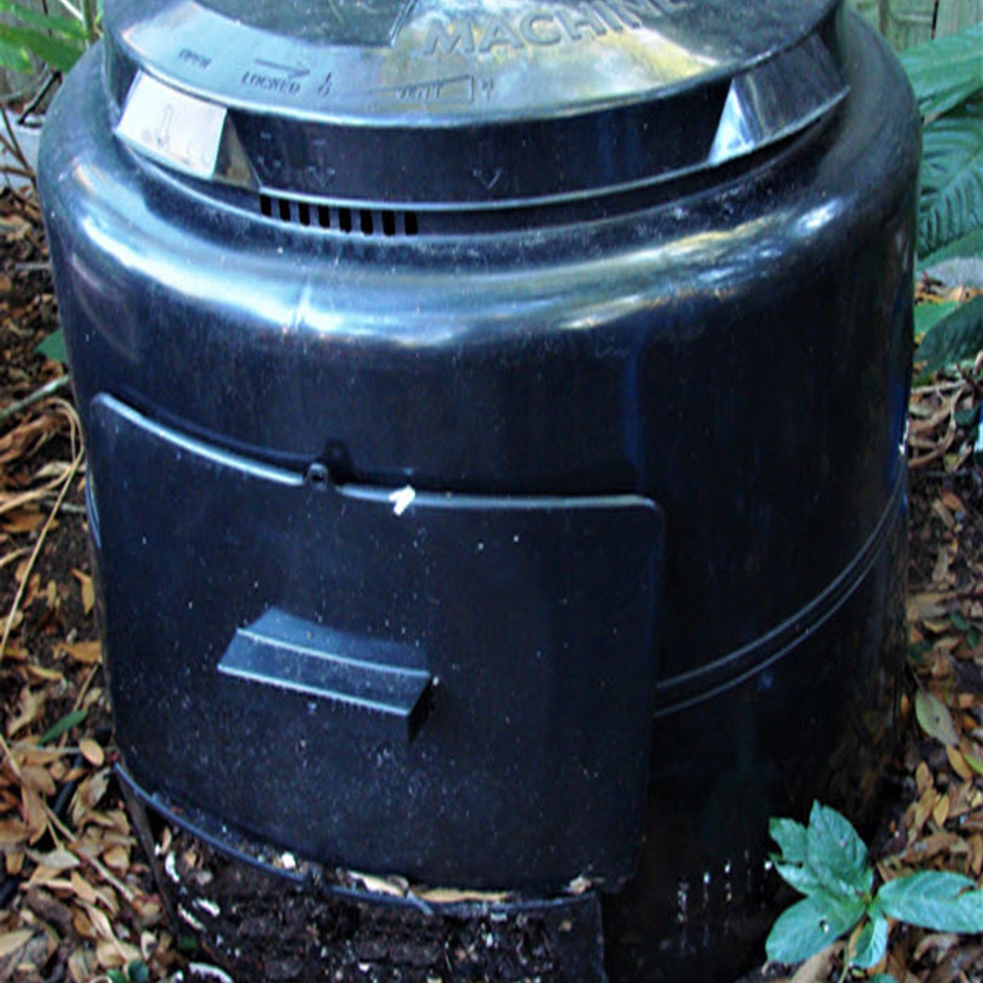 Better Lawns and Gardens - Hour 2 - Is Composting Your Cup Of Tea? October 24, 2020