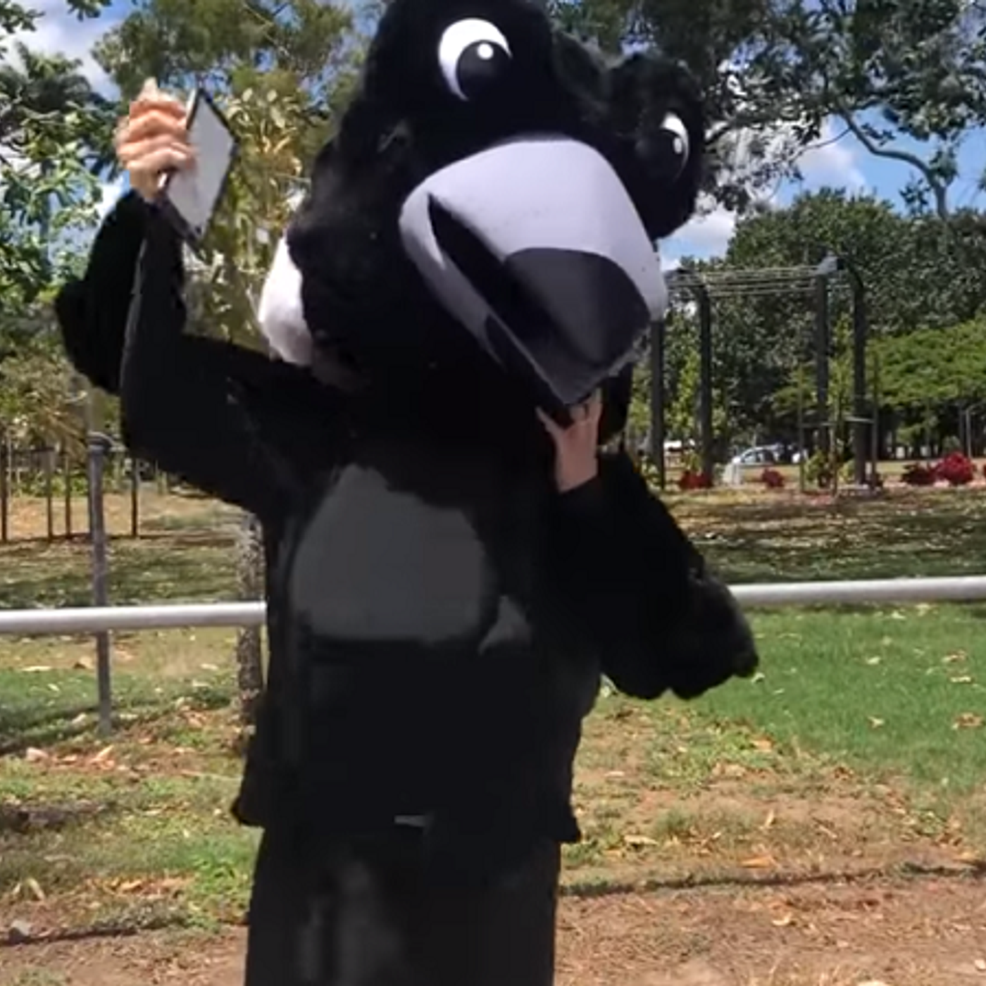1: We Dressed Rach Up As A Magpie And Made Her Approach Another Magpie episode artwork