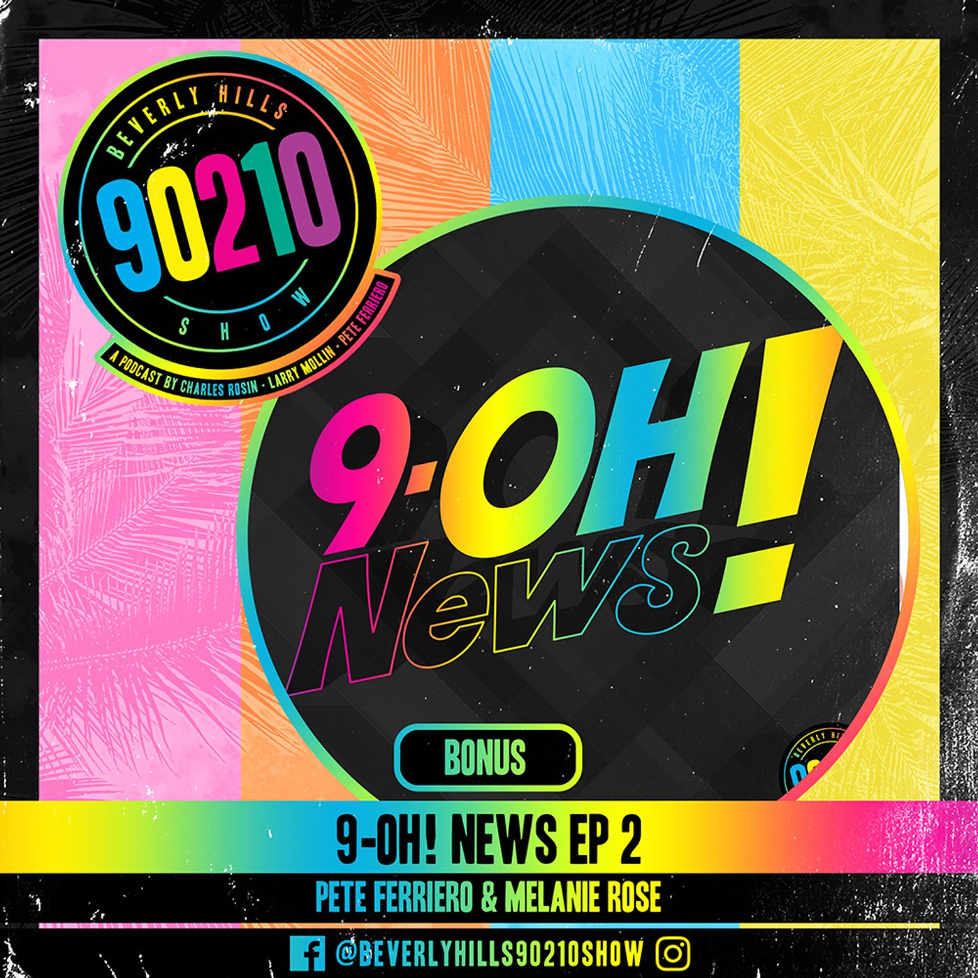 Beverly Hills 90210 Show
