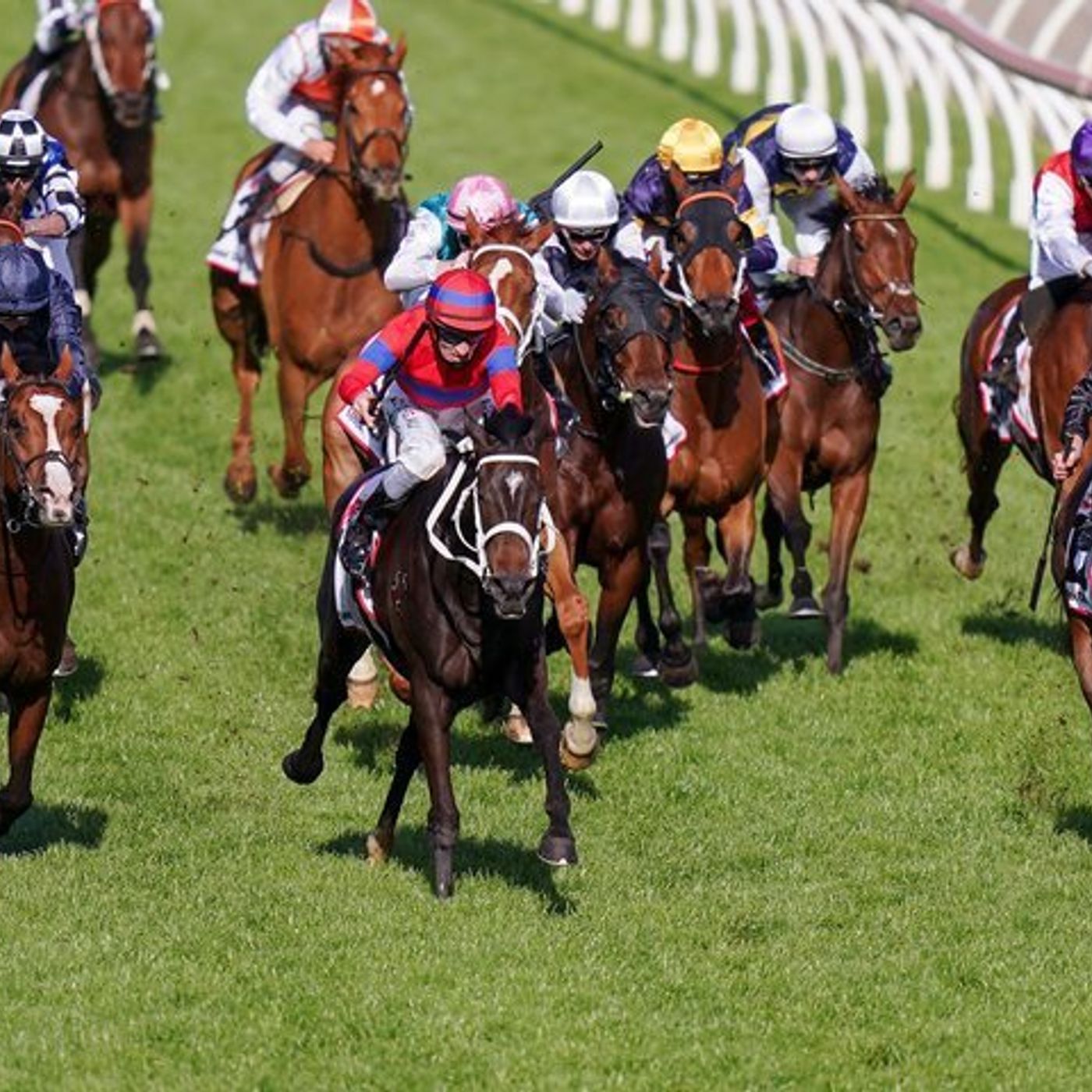 90: Ronny from Mount Morgan has the inside news for the winner of the 2020 Melbourne Cup episode artwork