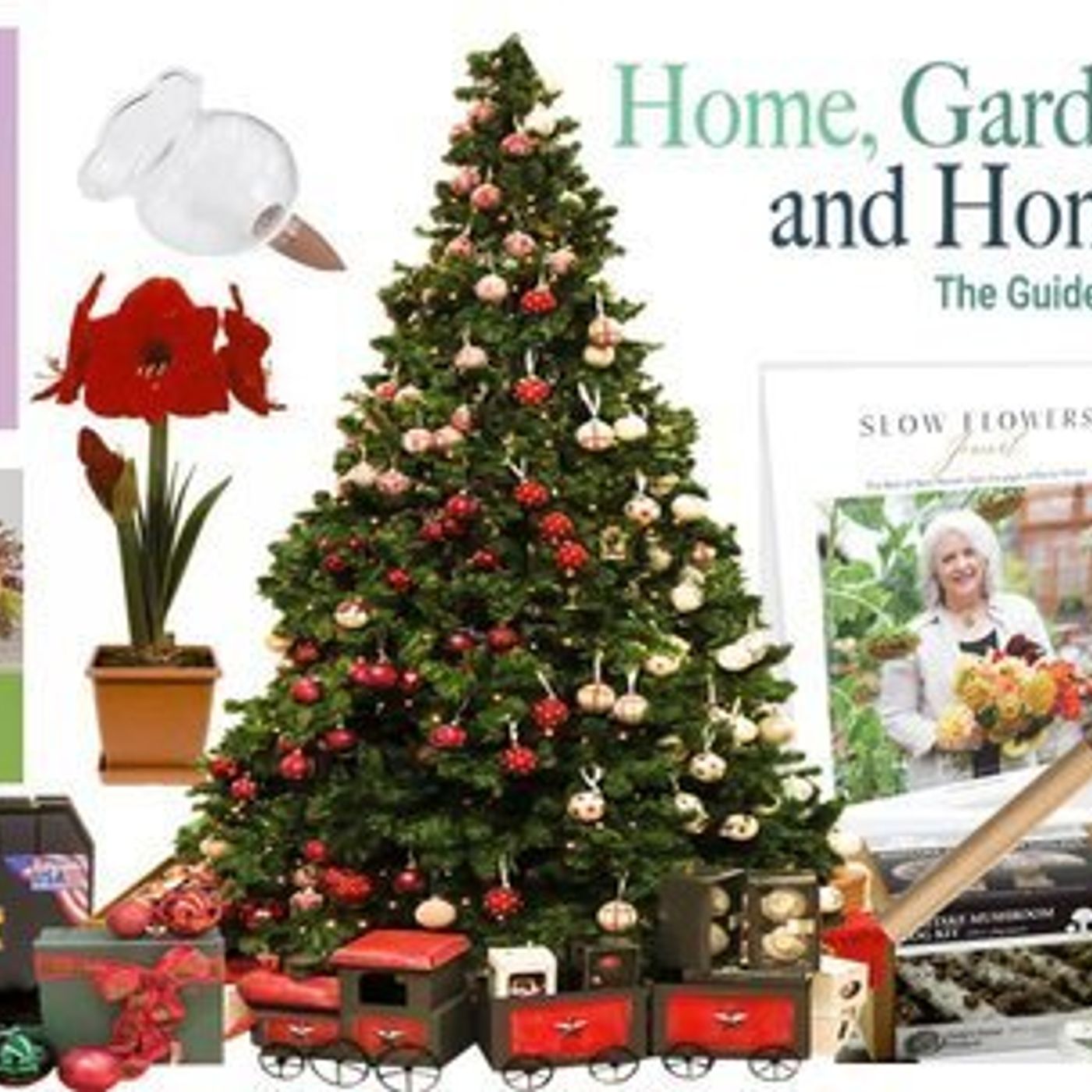 Better Lawns and Gardens - Hour 2 Christmas Gifts November 21, 2020